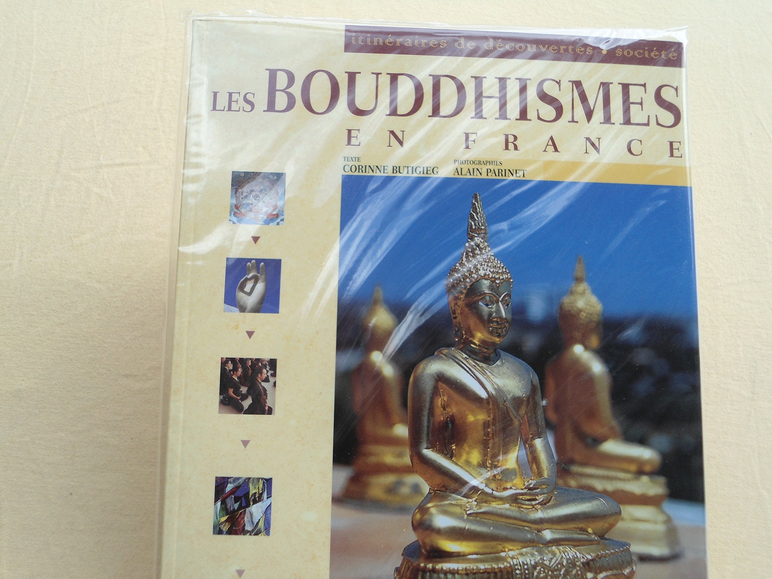 Les Bouddhismes En France 9782737326004
