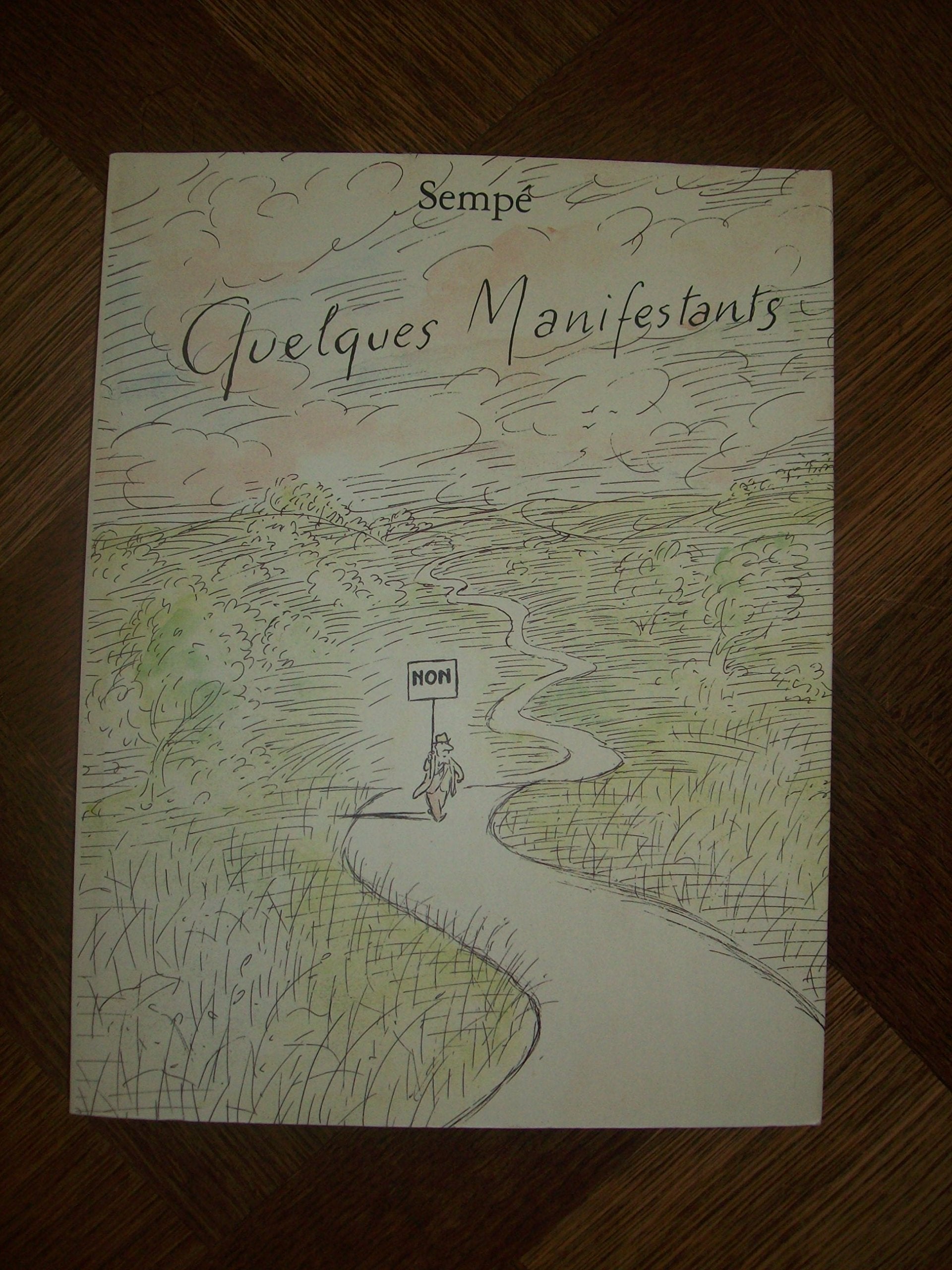 Quelques manifestants 9782207251256