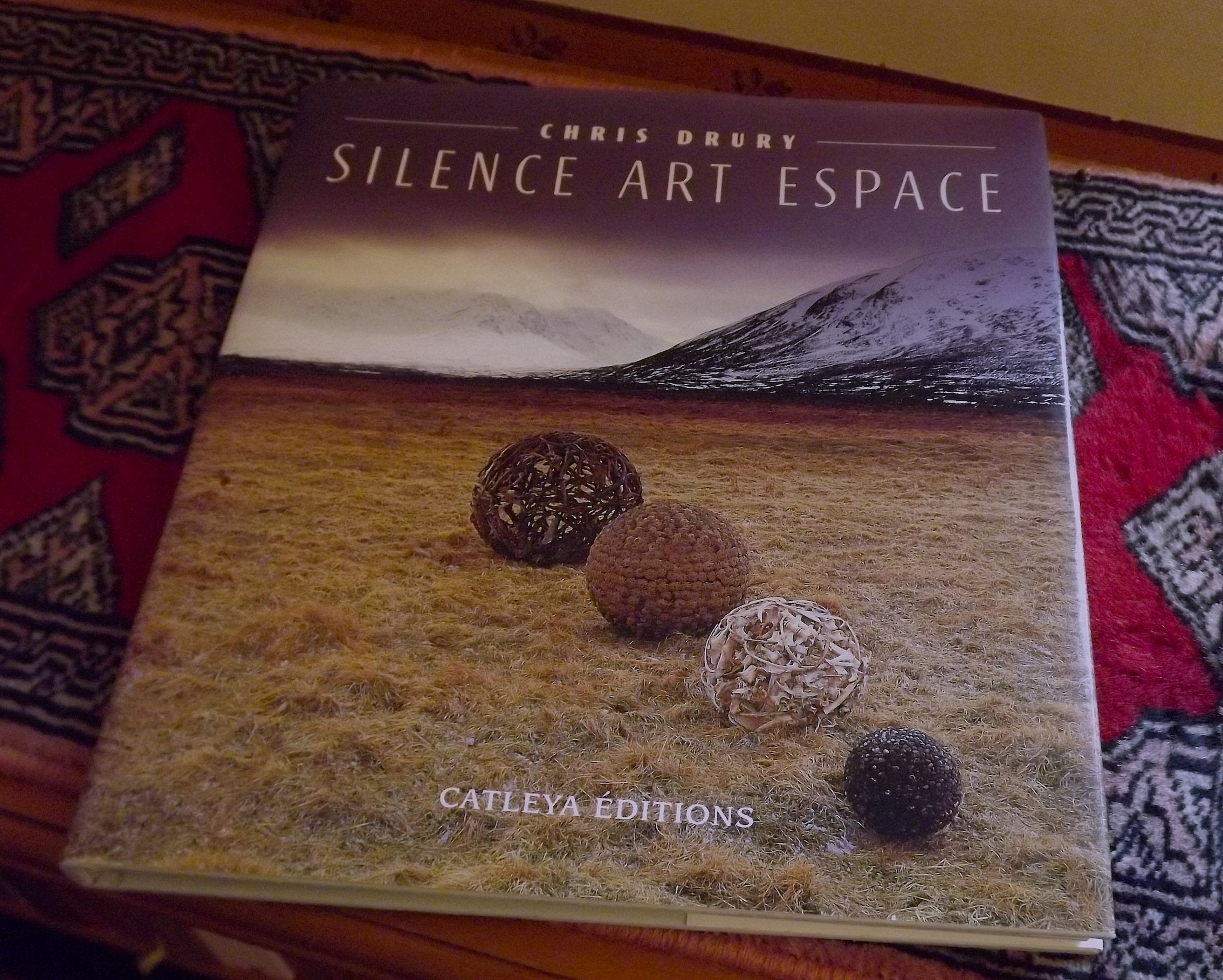 Silence art espace 9782913191013