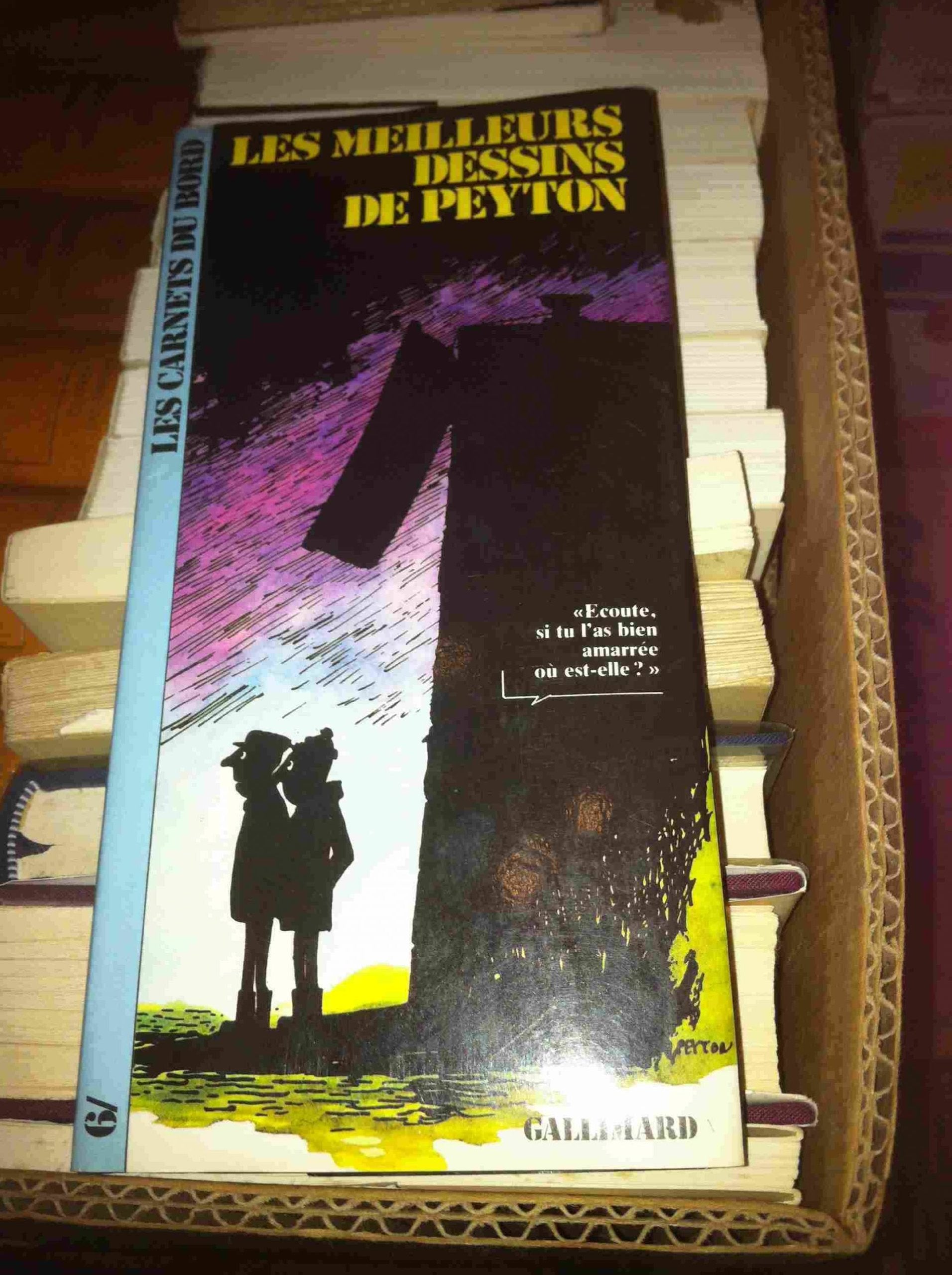 Les Meilleurs dessins de Peyton 9782070601868