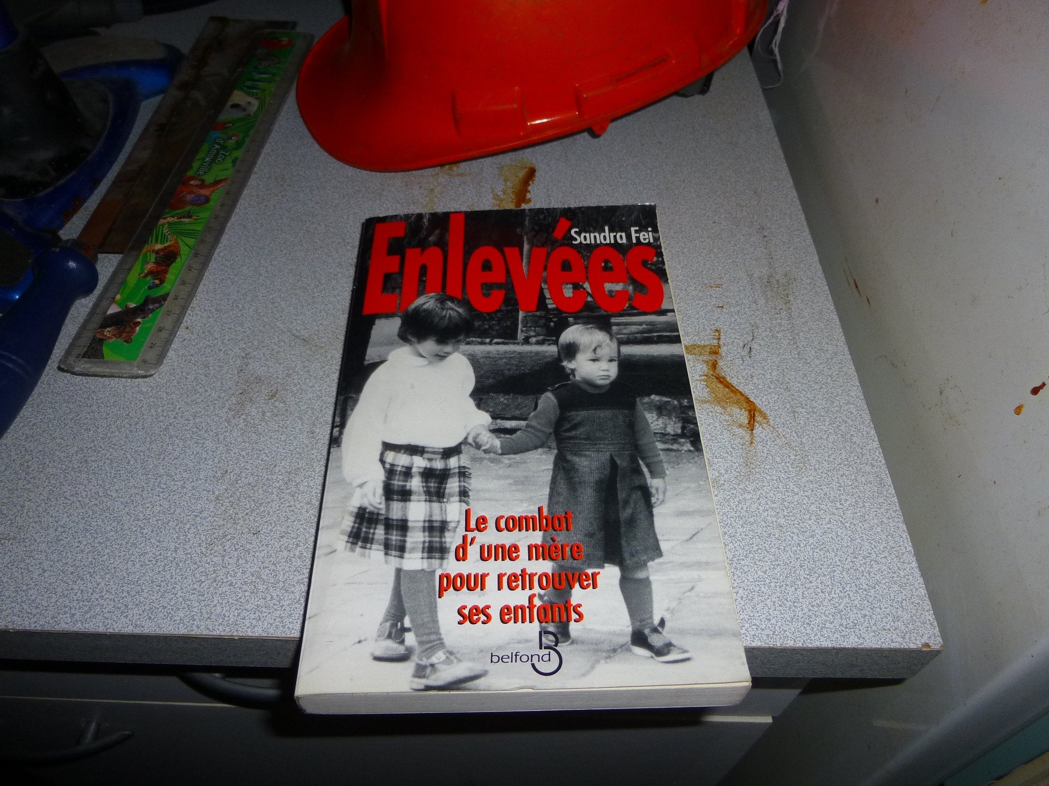 Enlevées: Le combat d'une mère pour retrouver ses enfants 9782714431400