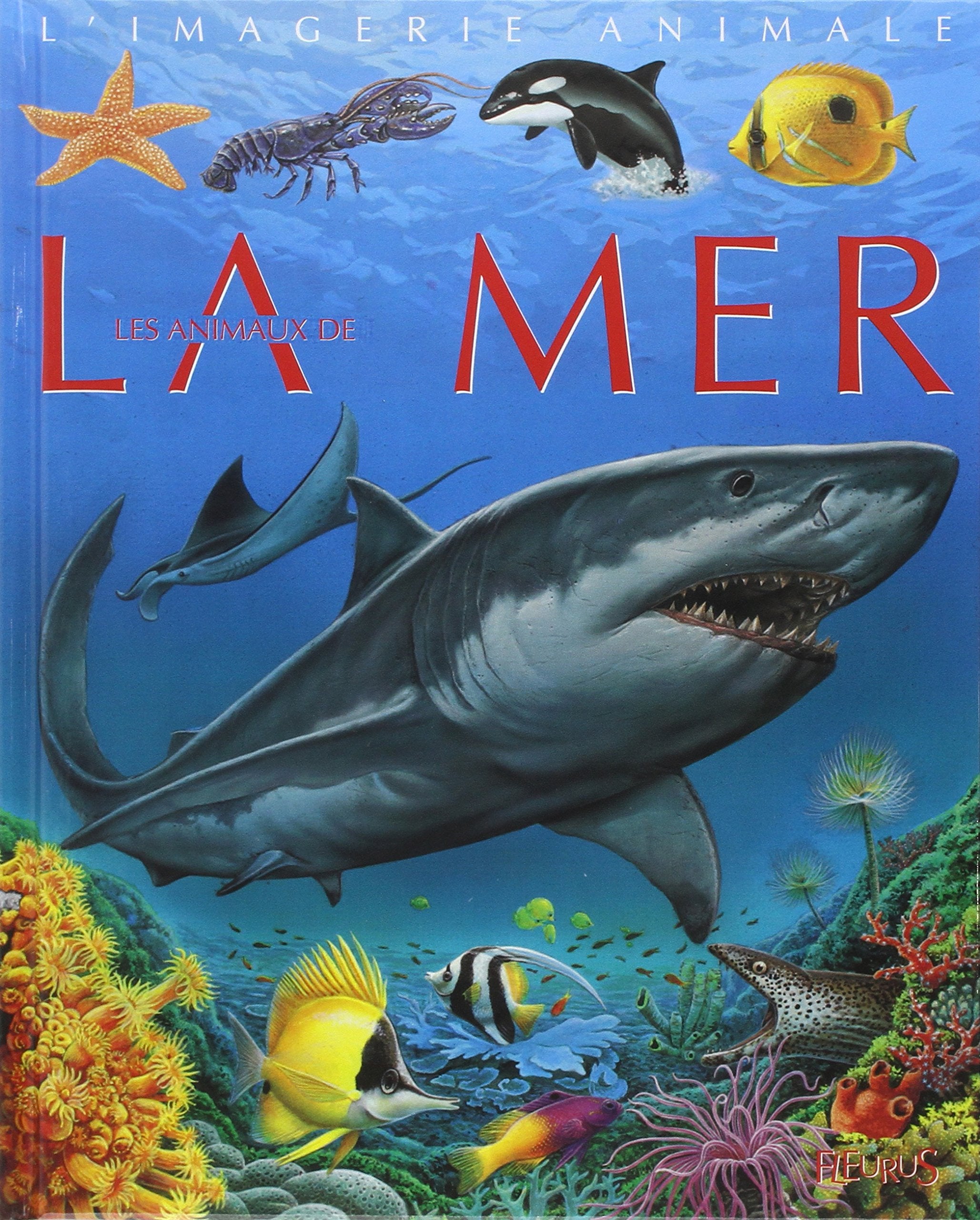 Les Animaux de la mer 9782215066897