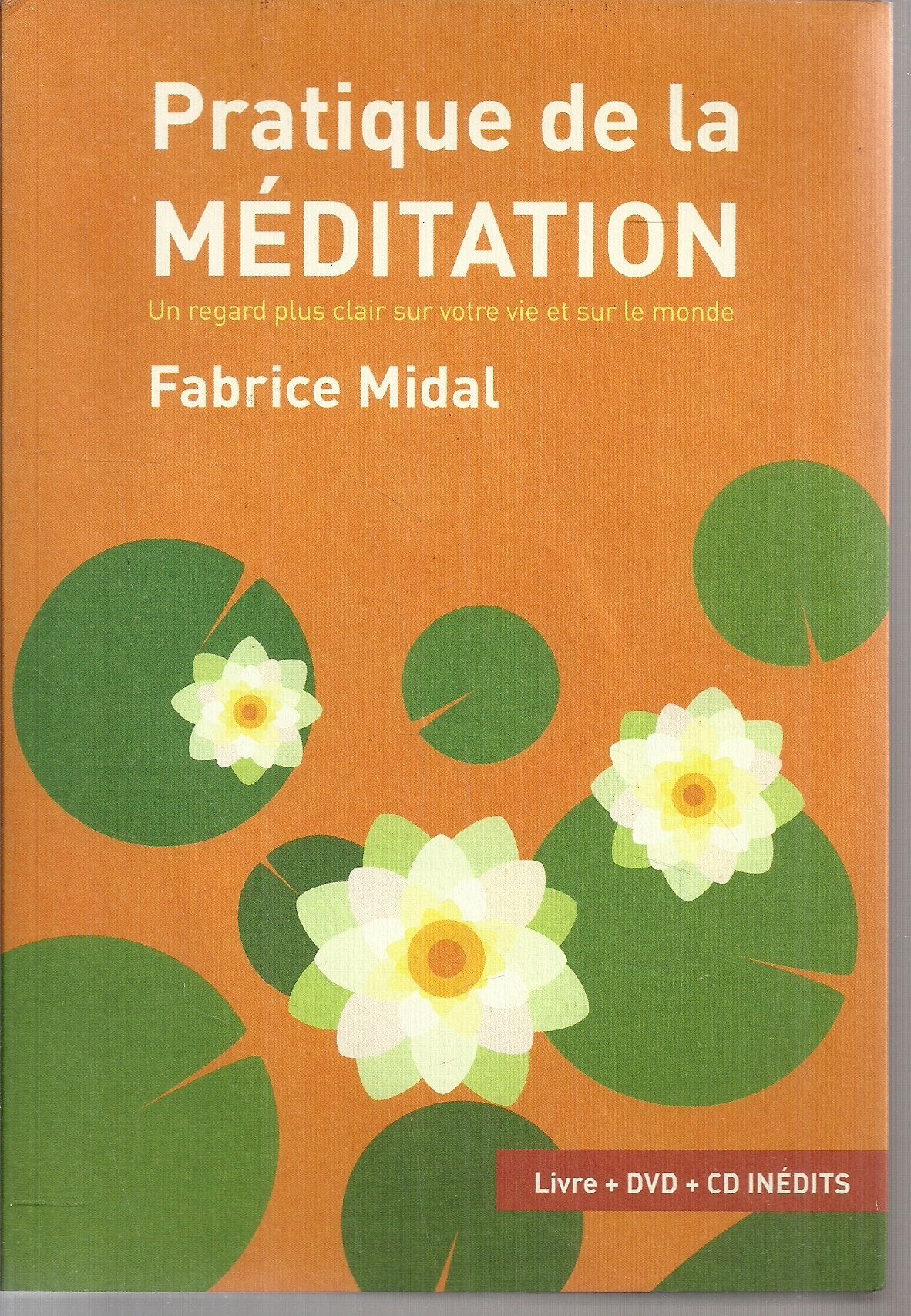 Pratique de la Méditation-Un regard plus clair sur votre vie et sur le monde 9782286091279