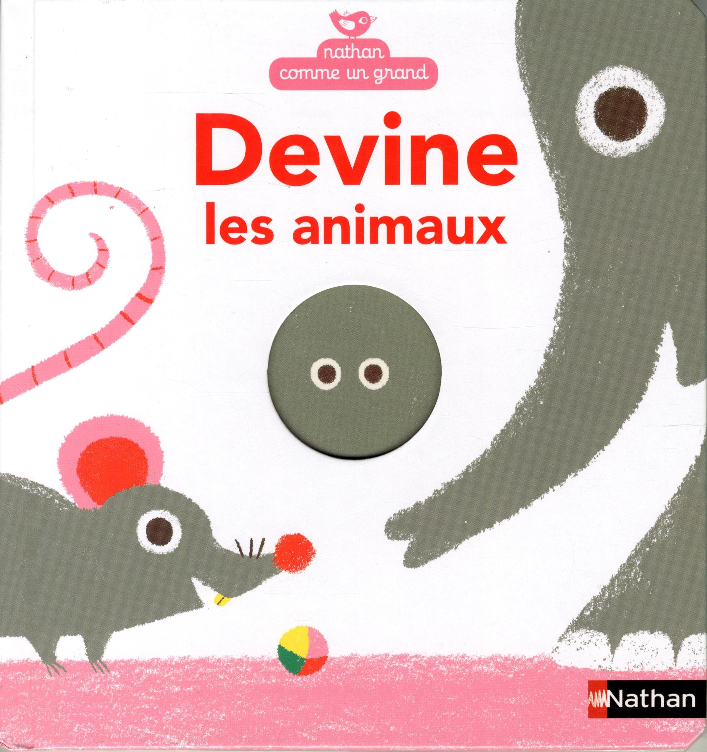 Devine les animaux 9782092557488