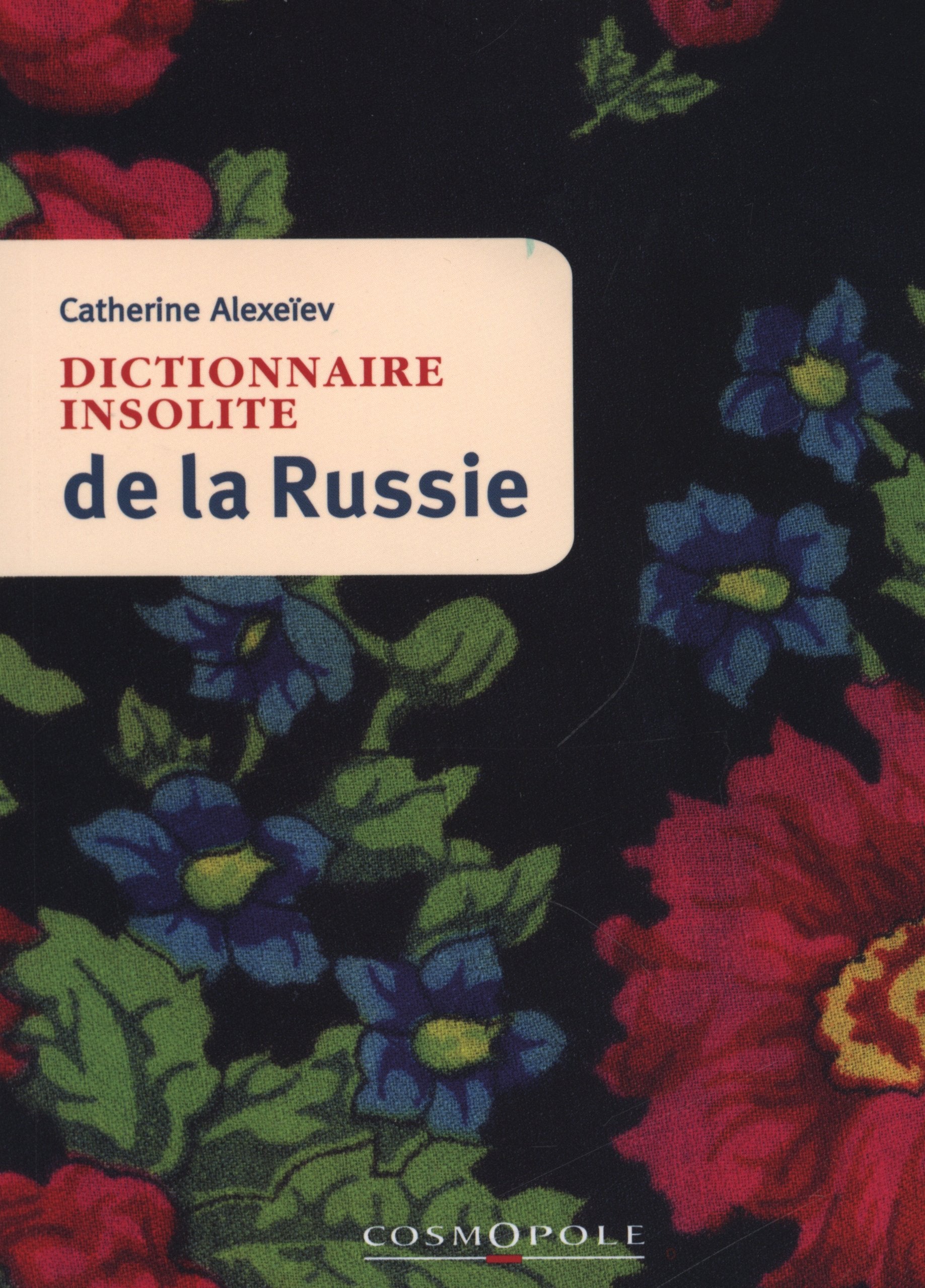 Dictionnaire insolite de la Russie 9782846300599