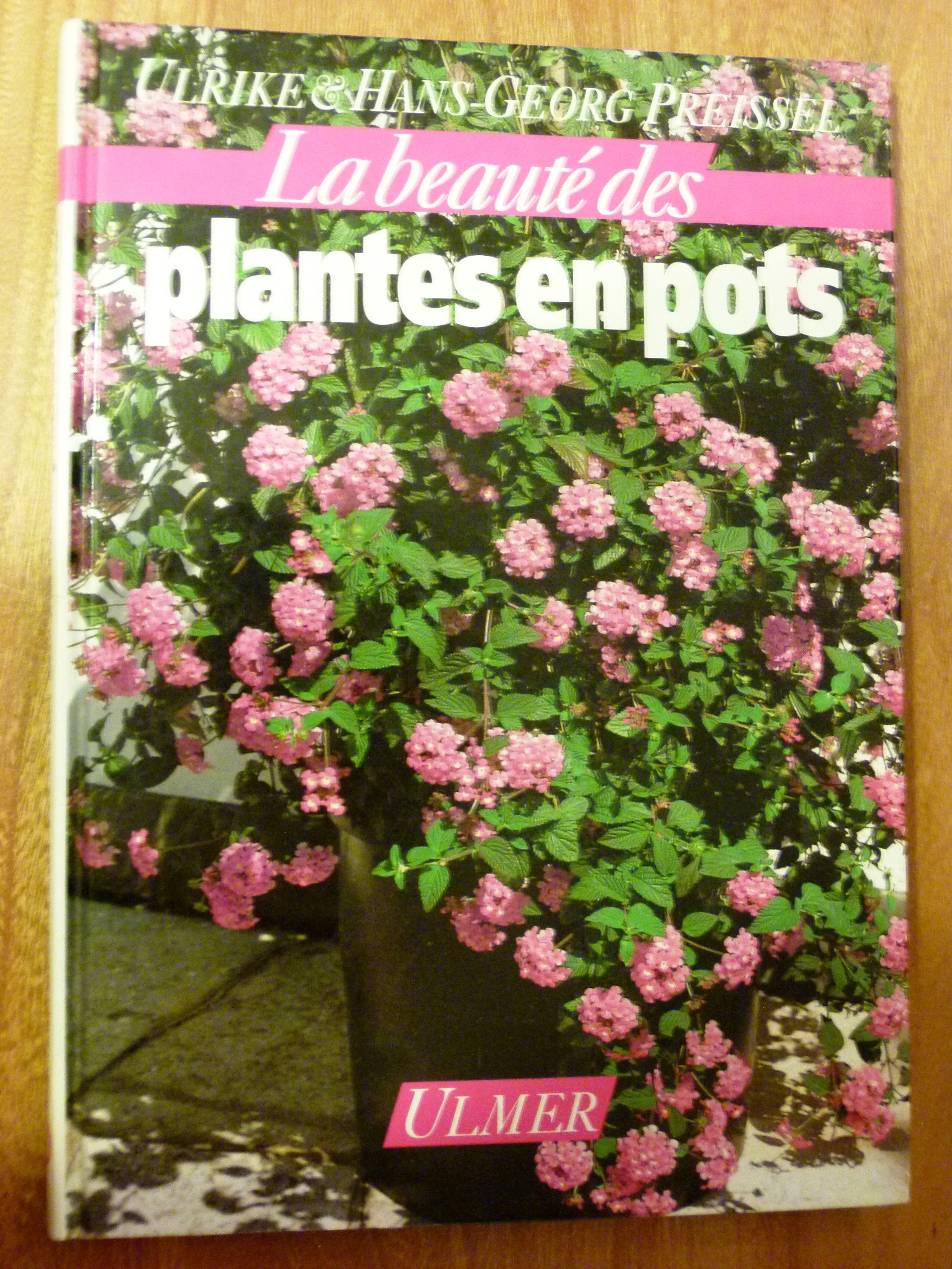 Plantes en pots 9783800165261