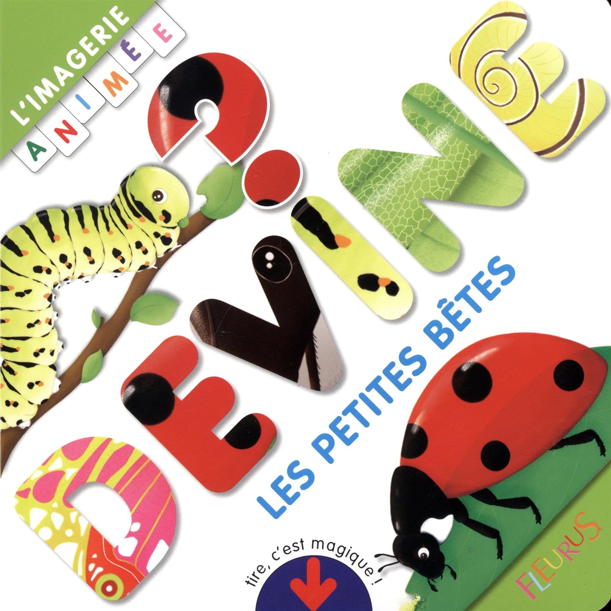 Les petites bêtes 9782215160786