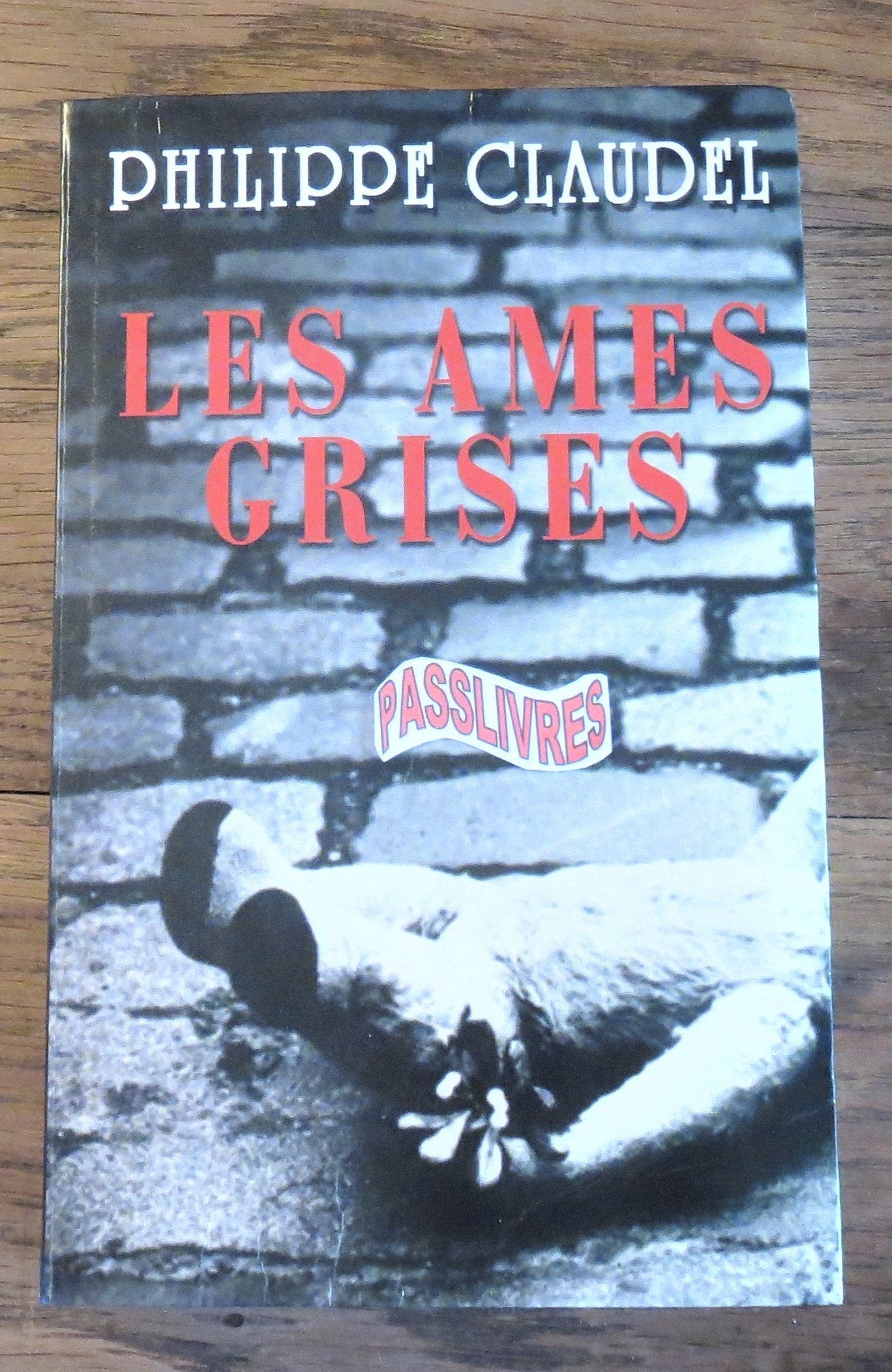 Les âmes grises 9782702885543