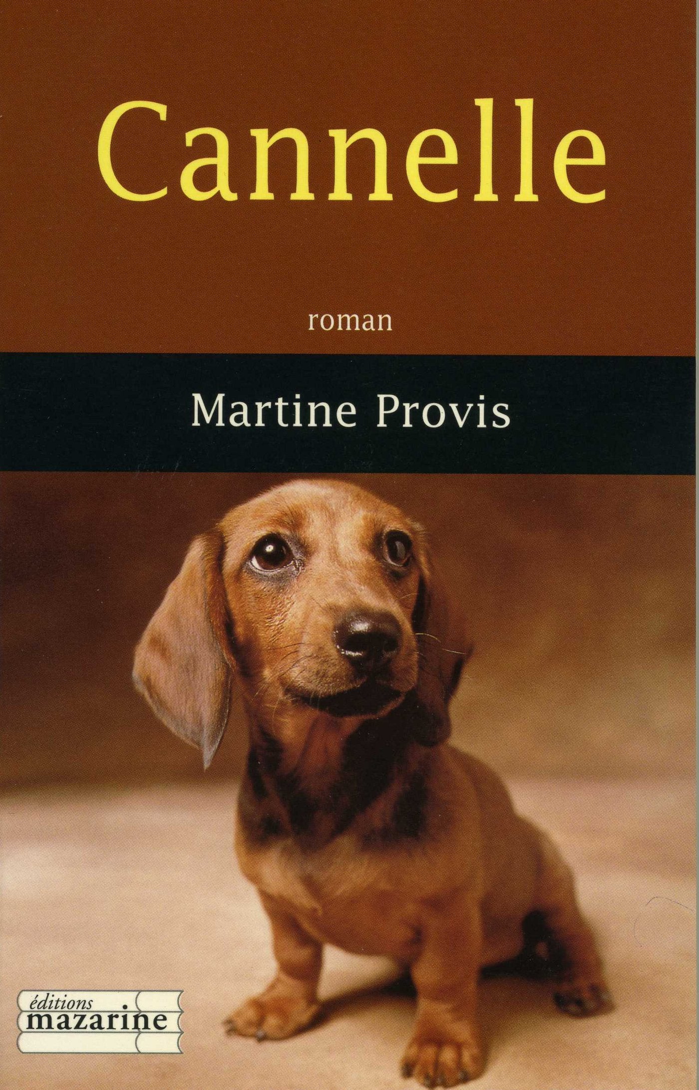 Cannelle 9782863743348