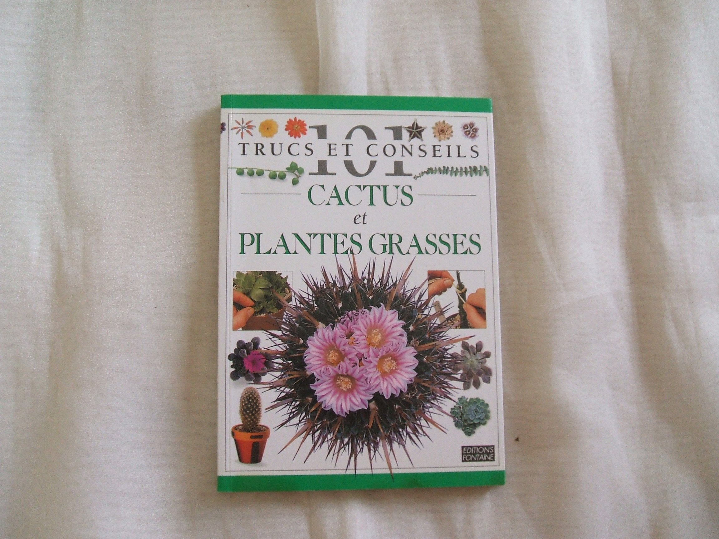 CACTUS ET PLANTES GRASSES 9782910635909