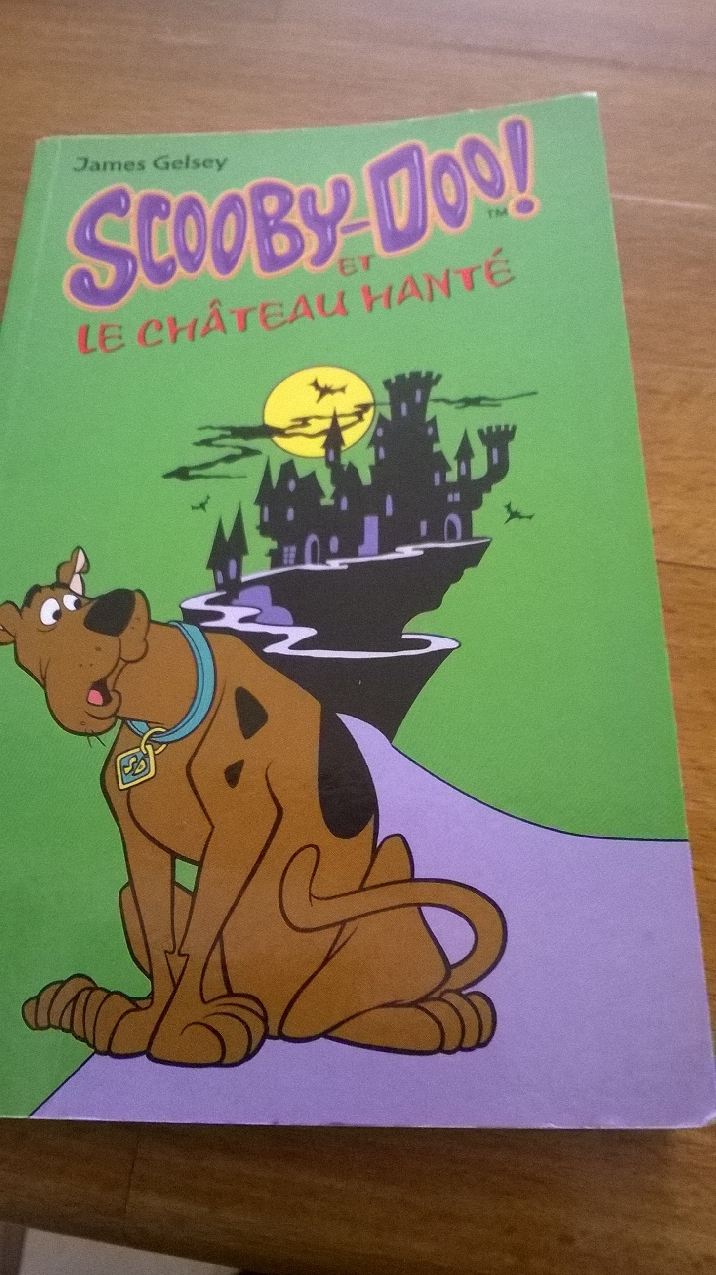 Scooby-Doo, numéro 1 : Scooby-Doo et le Château hanté 9782266129985