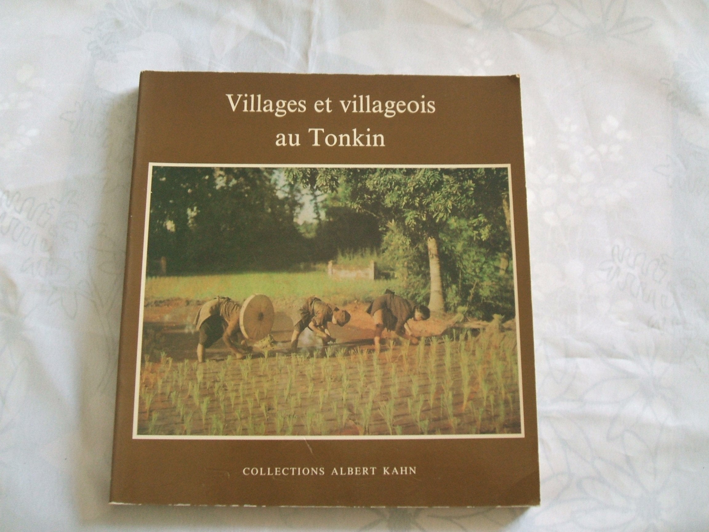 Villages et Villageois au Tonkin 9782906599048