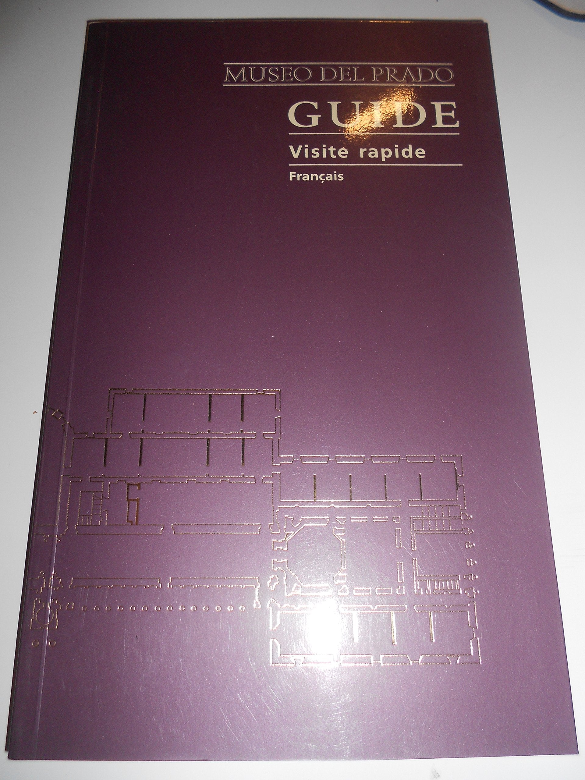 Guide de Musée du Prado: visite rapide 9788480030236