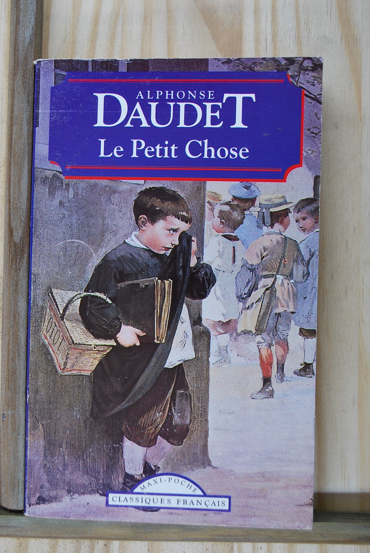 Le Petit Chose : histoire d'un enfant 9782877141956