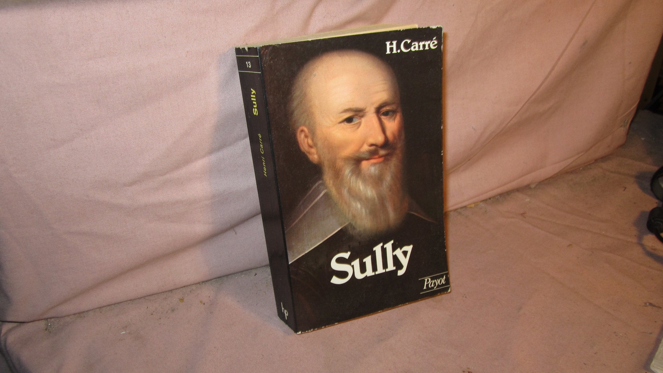 Sully 9782228701303