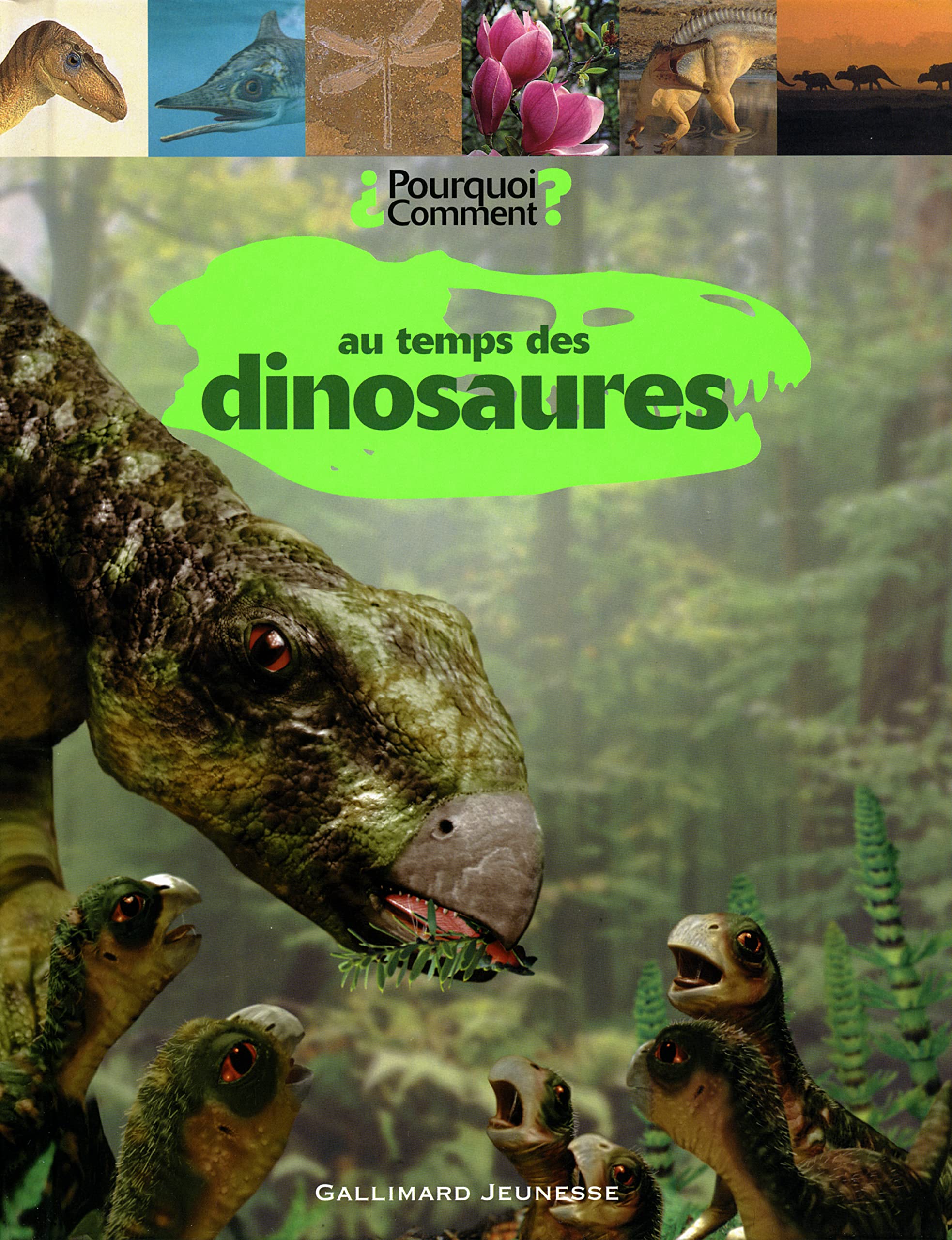 Au temps des dinosaures 9782070518616