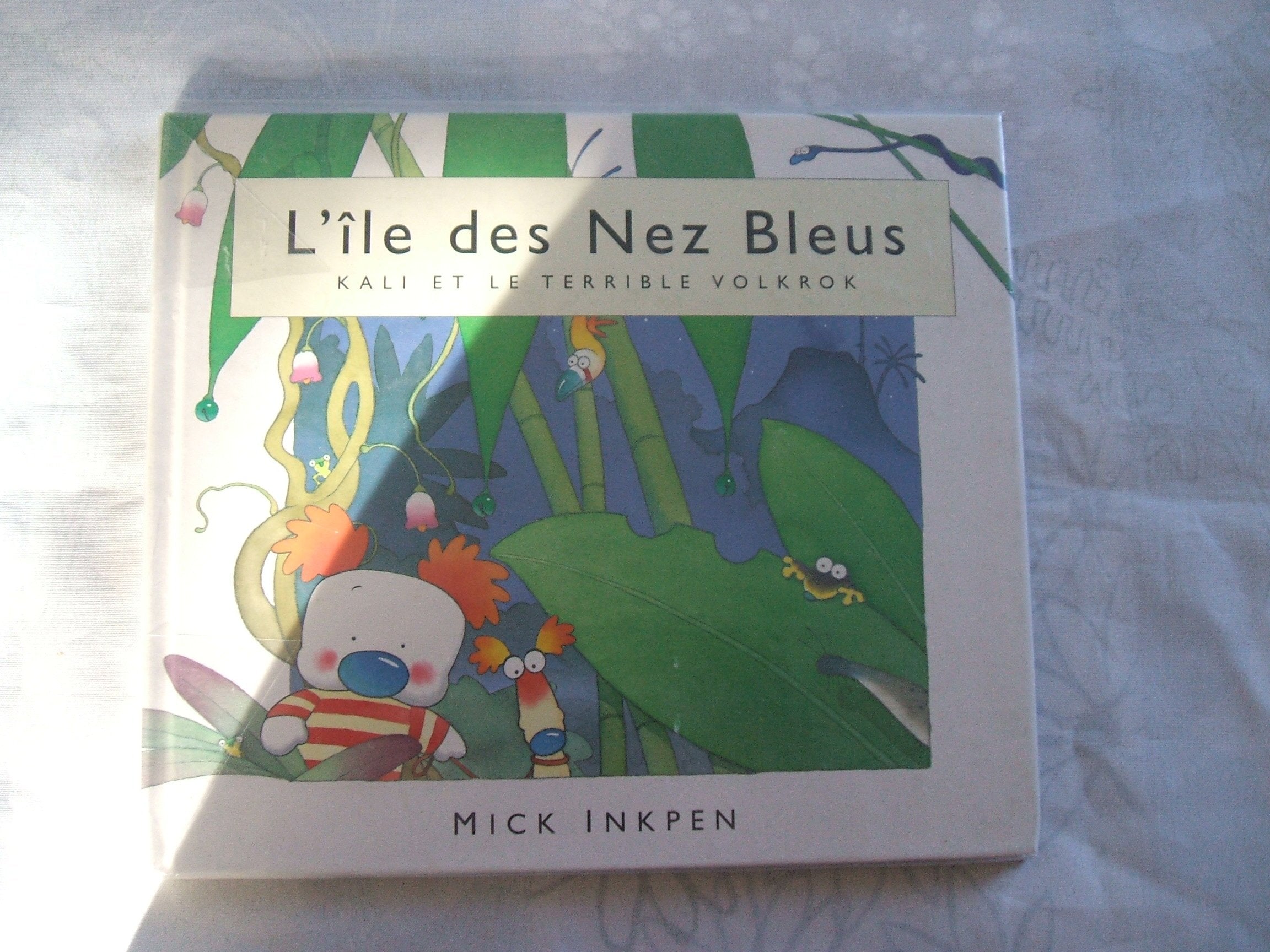 Kali et le terrible Volkrok 9782210979857