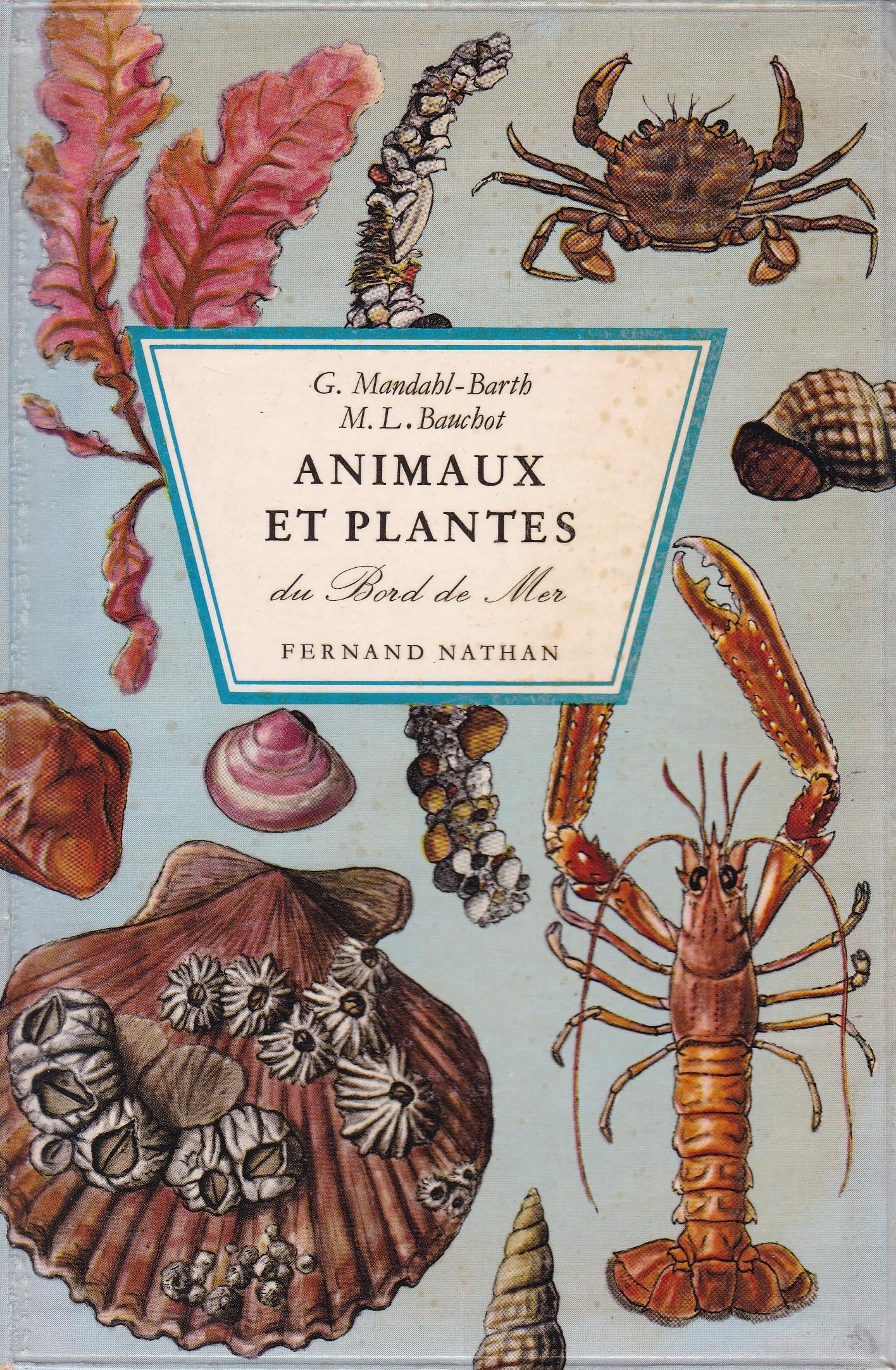 ANIMAUX ET PLANTES - DU BORD DE MER. 
