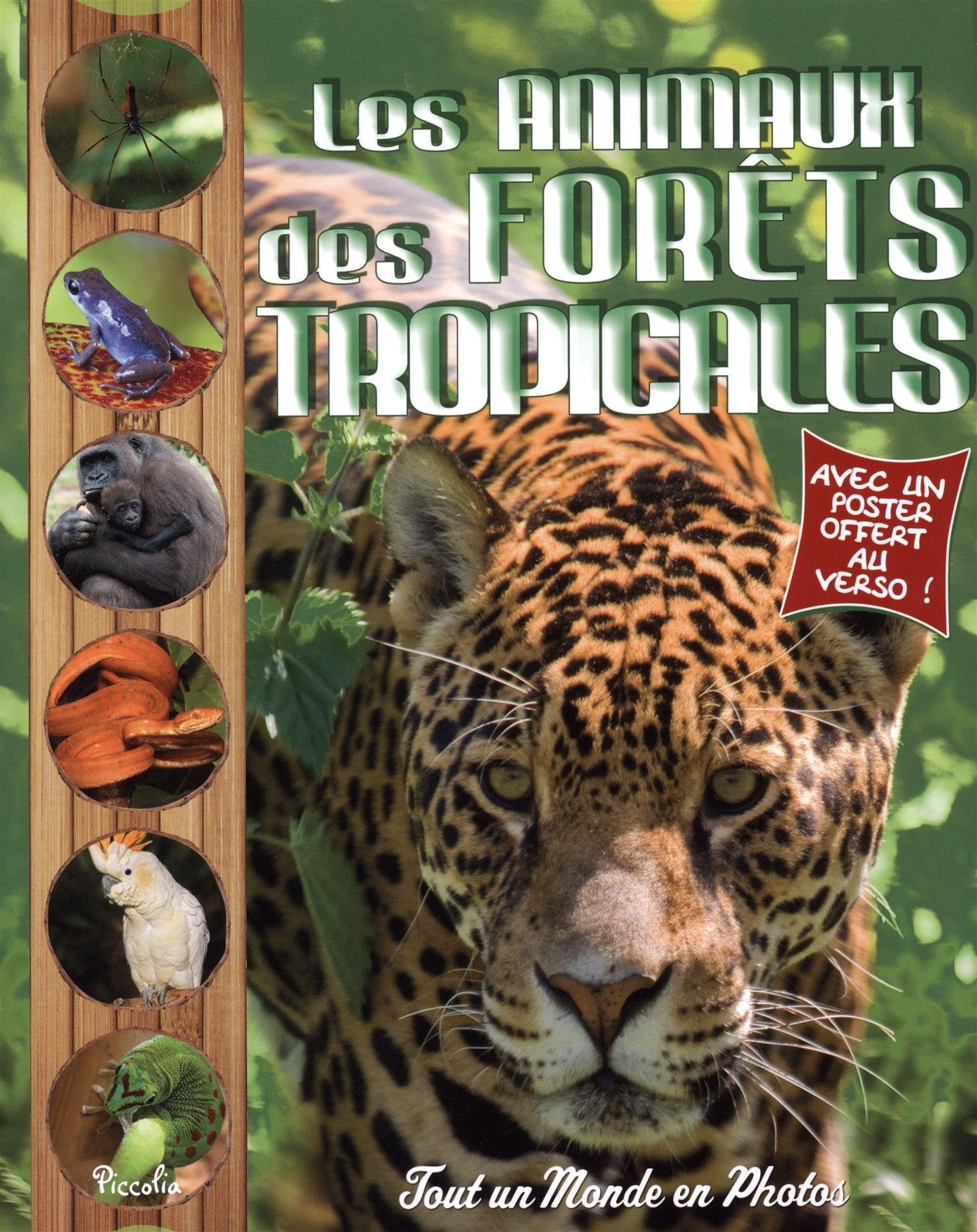 Les animaux des forêts tropicales 9782753027640