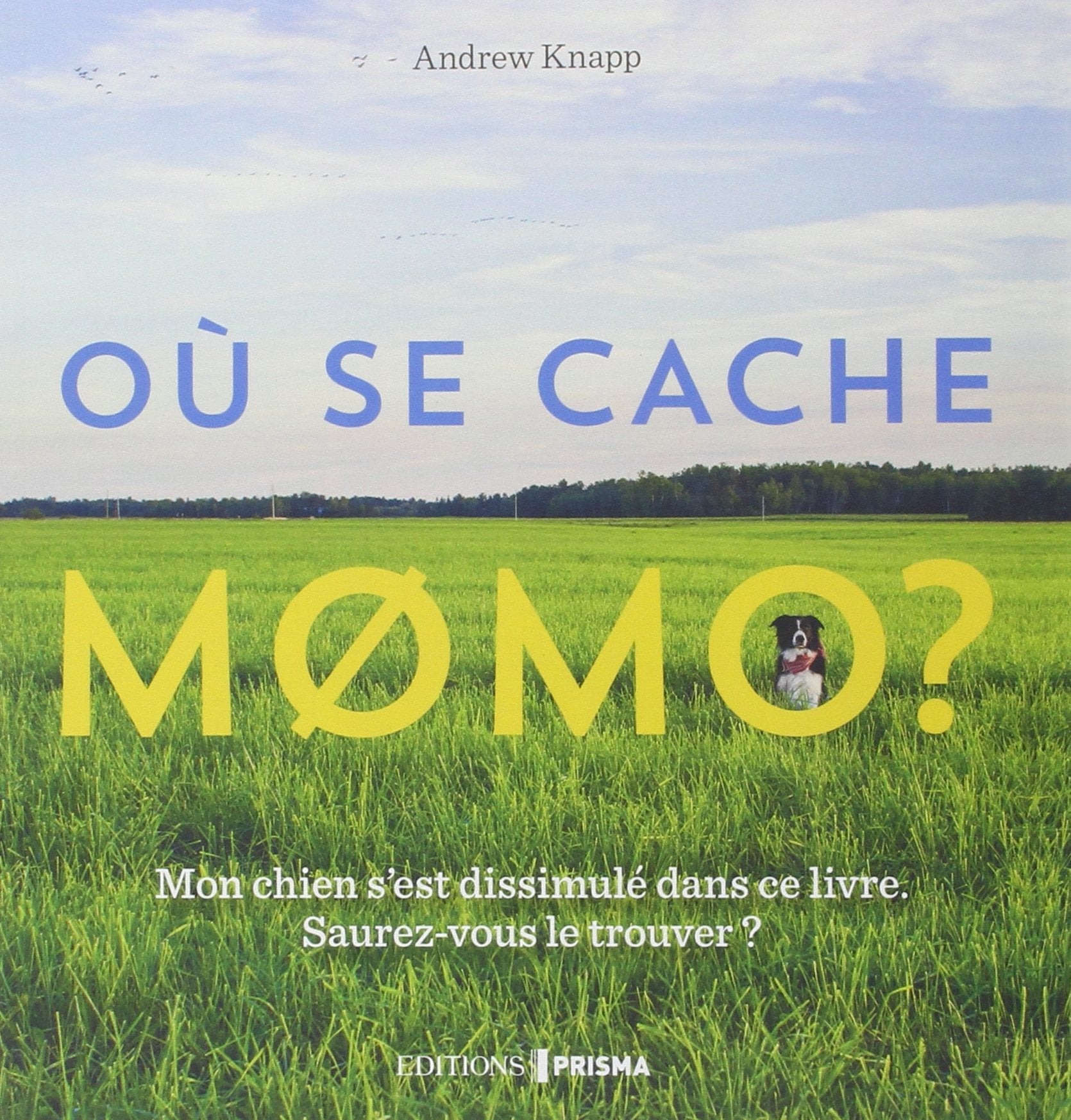 Où se cache Momo ? 9782810413508