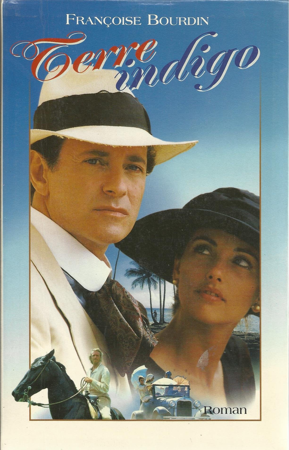 Terre indigo 9782286116385