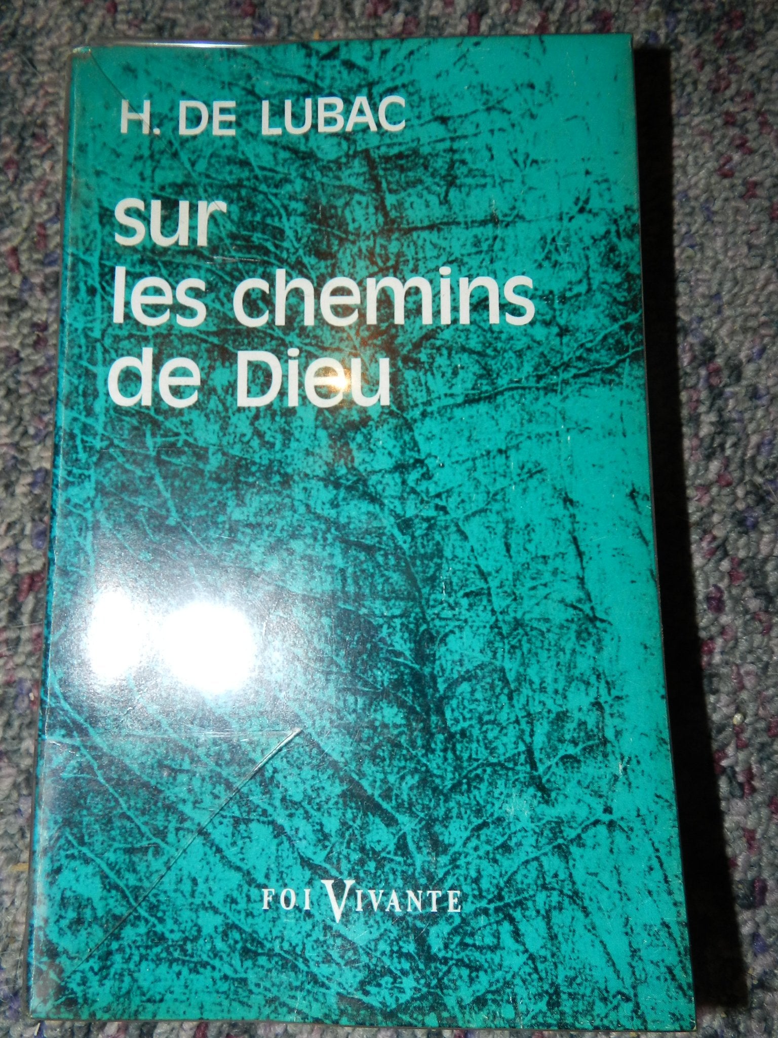 Sur les chemins de Dieu 
