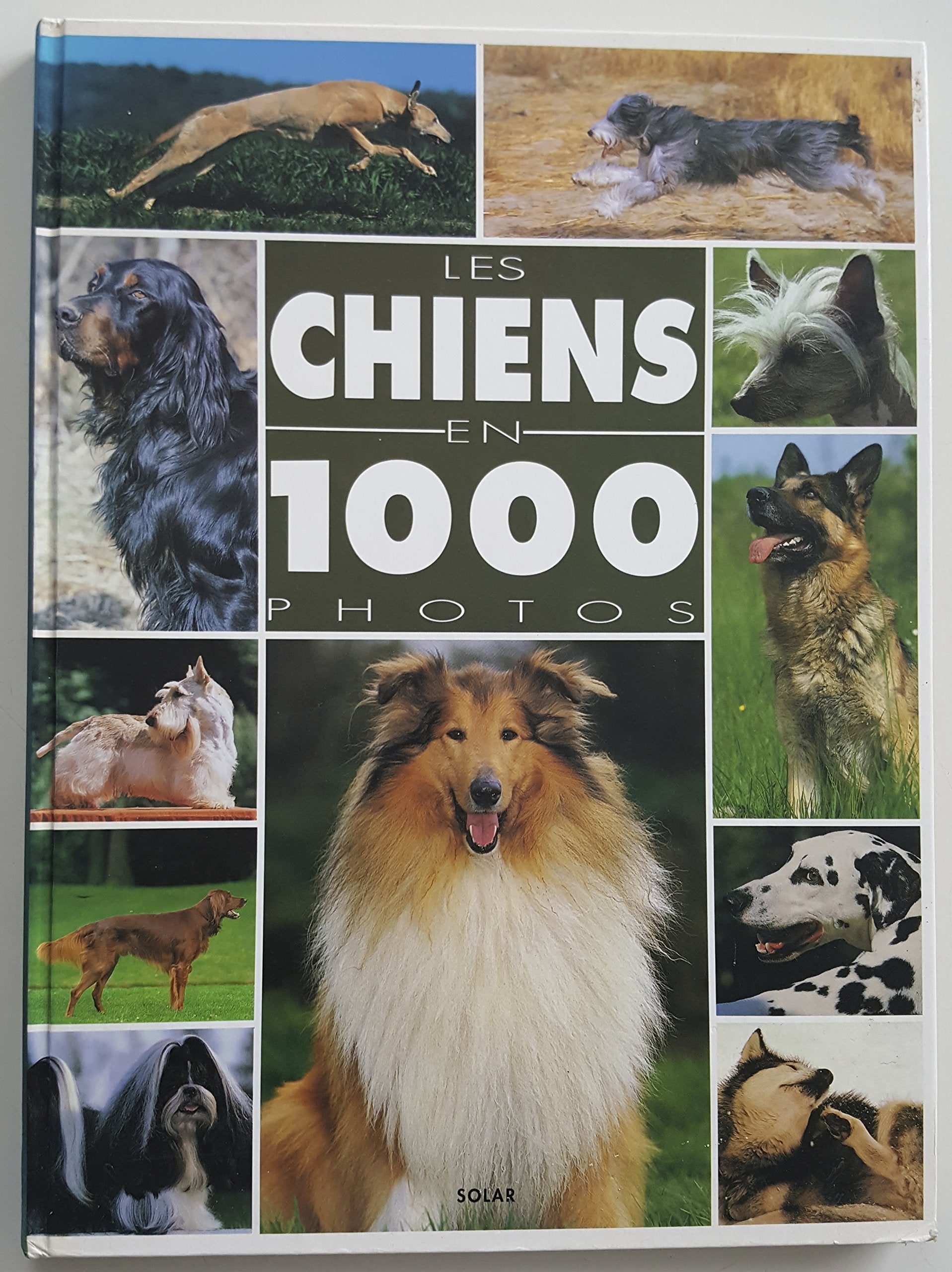 Les Chiens En Mille Photos 9782263016769