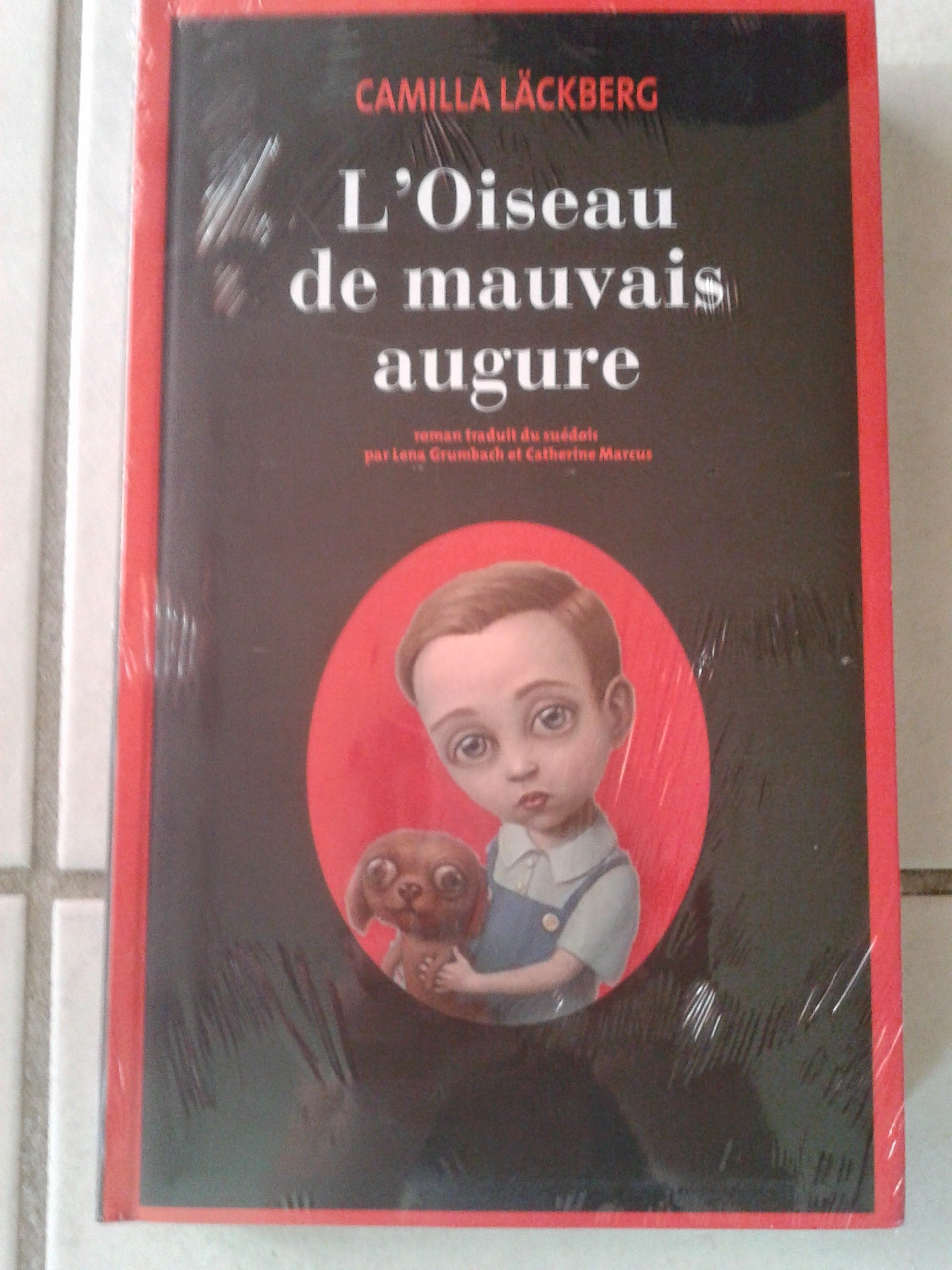 L'Oiseau de mauvais augure 9782286066963