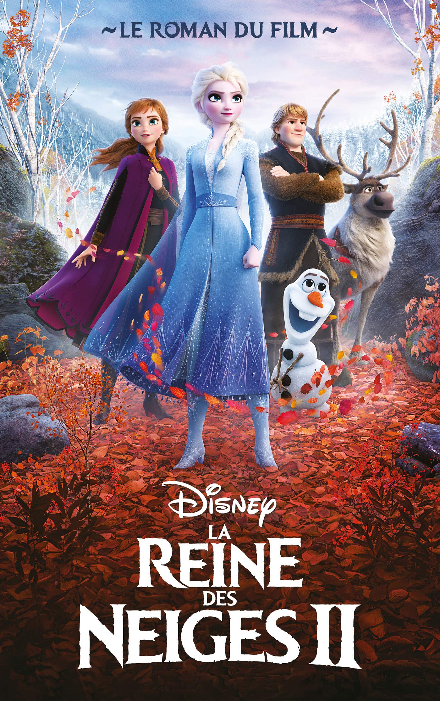 La Reine des Neiges 2 - Le roman du film 9782017099833