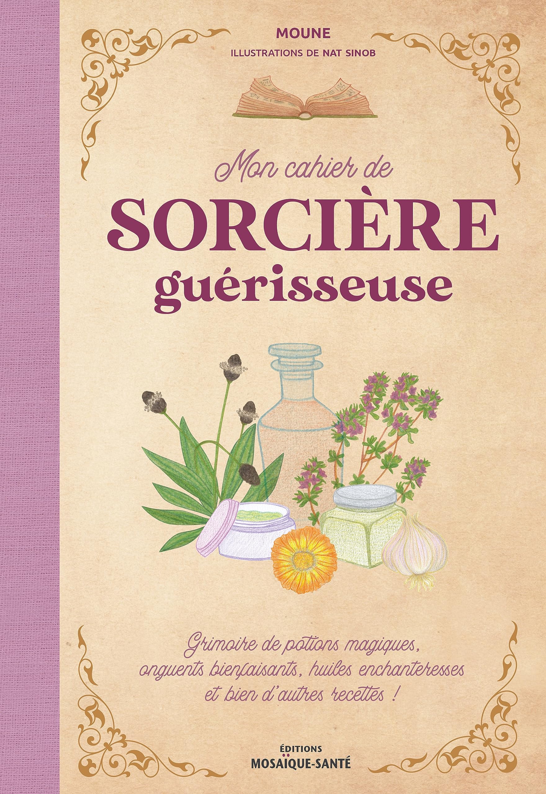 Mon cahier de sorcière guérisseuse: Grimoire de potions magiques, onguents bienfaisants, huiles enchanteresses et bien d'autres recettes ! 9782849392676