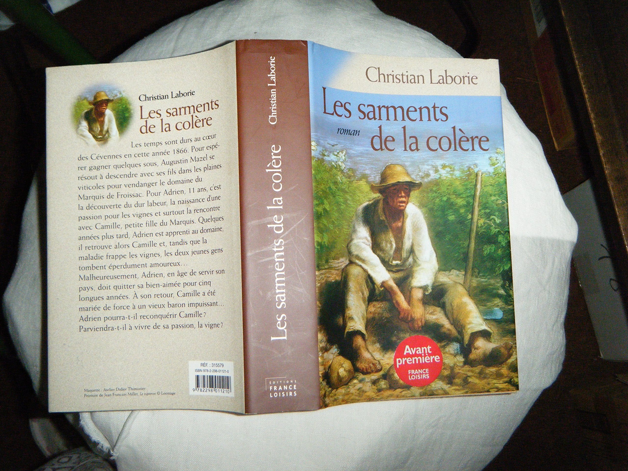 Les sarments de la colère 9782298011210