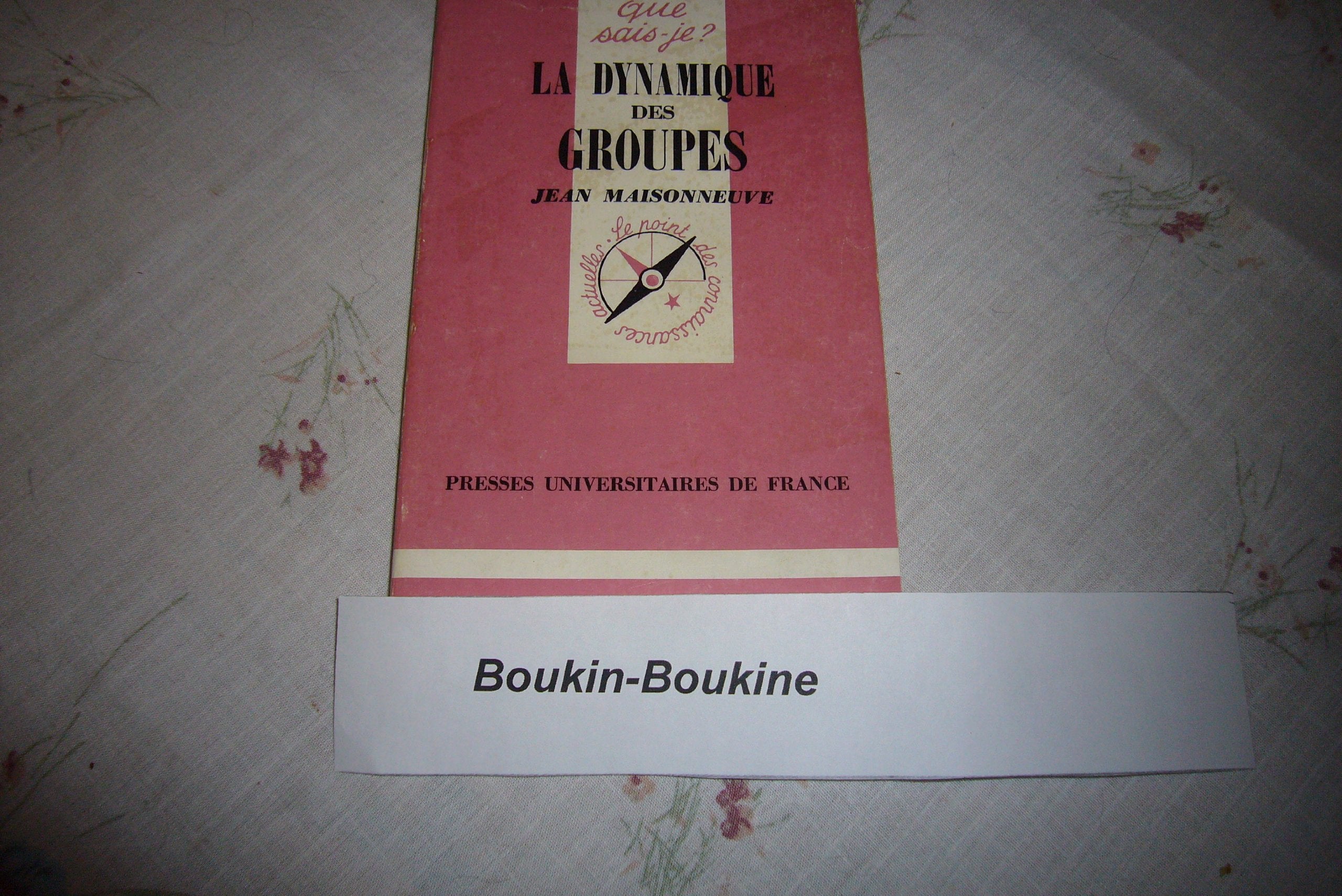 La dynamique des groupes 9782130455103