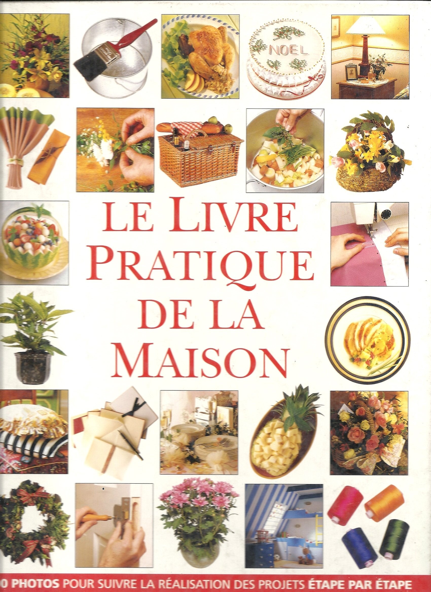 Le livre pratique de la maison 9782841980086