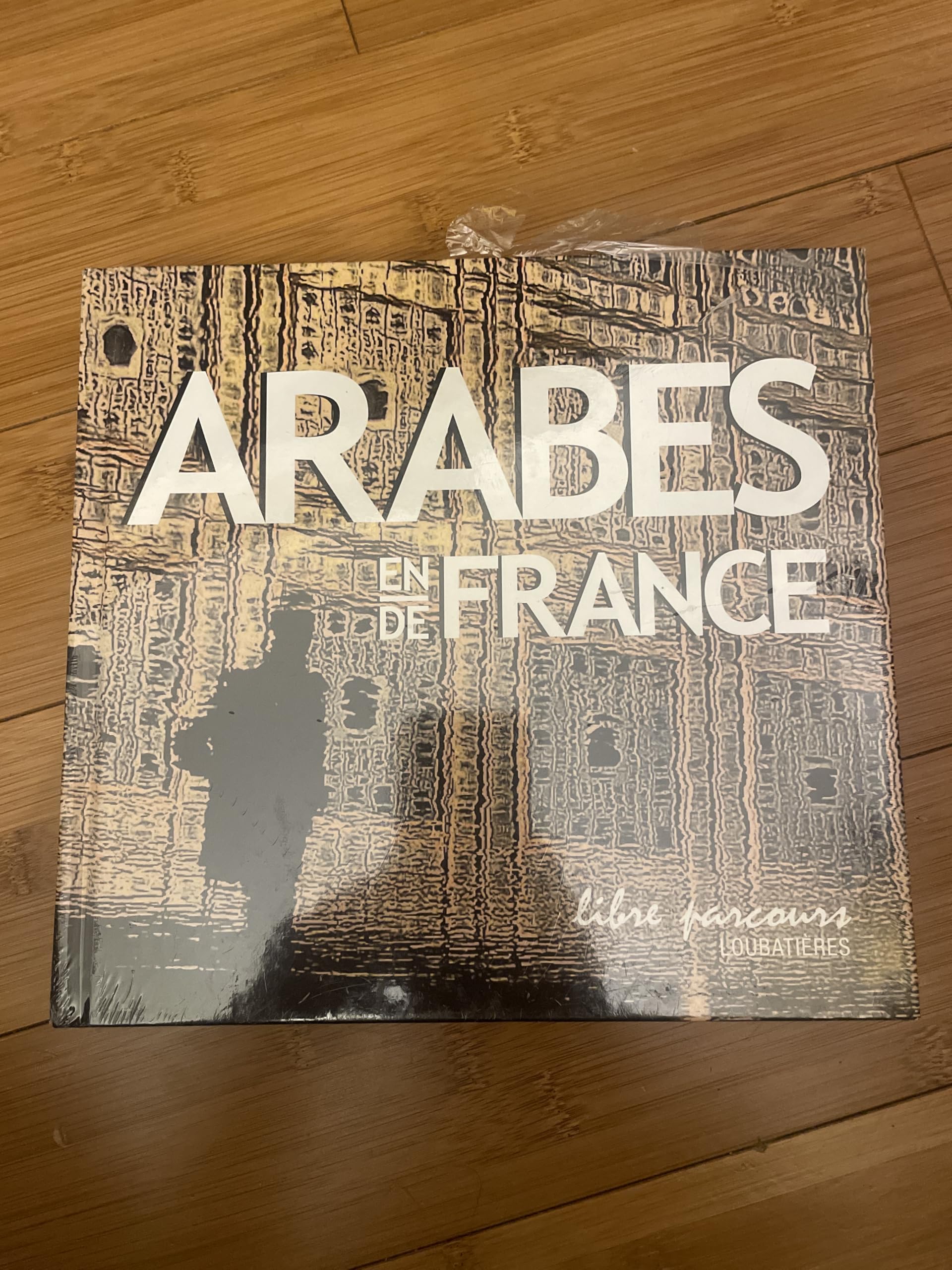 Arabes en/de France 9782862666266