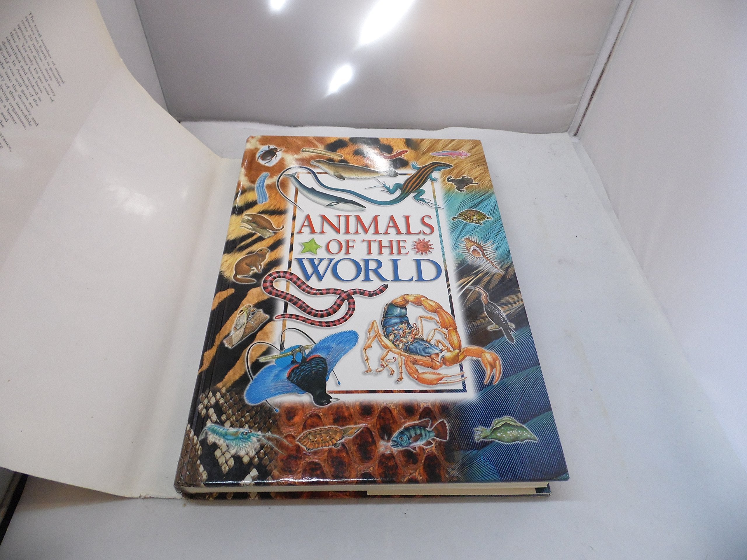 Small Book 9781841640570