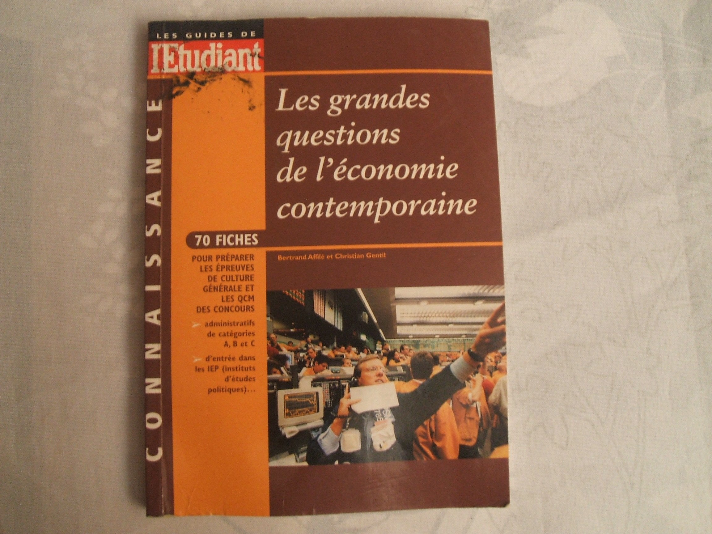 Les Grandes Questions De L'Economie Contemporaine 9782846240321