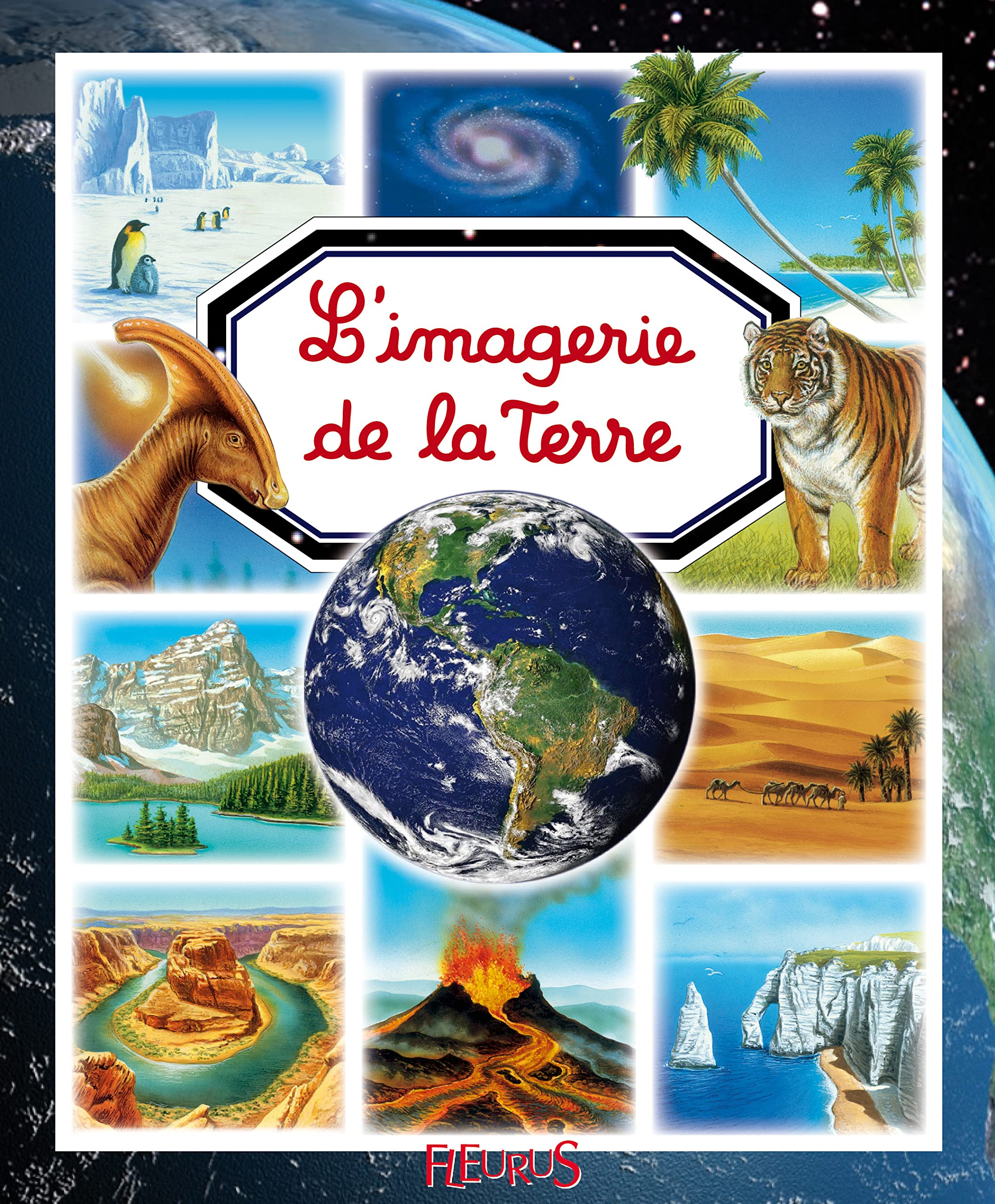 L'imagerie de la Terre 9782215106630