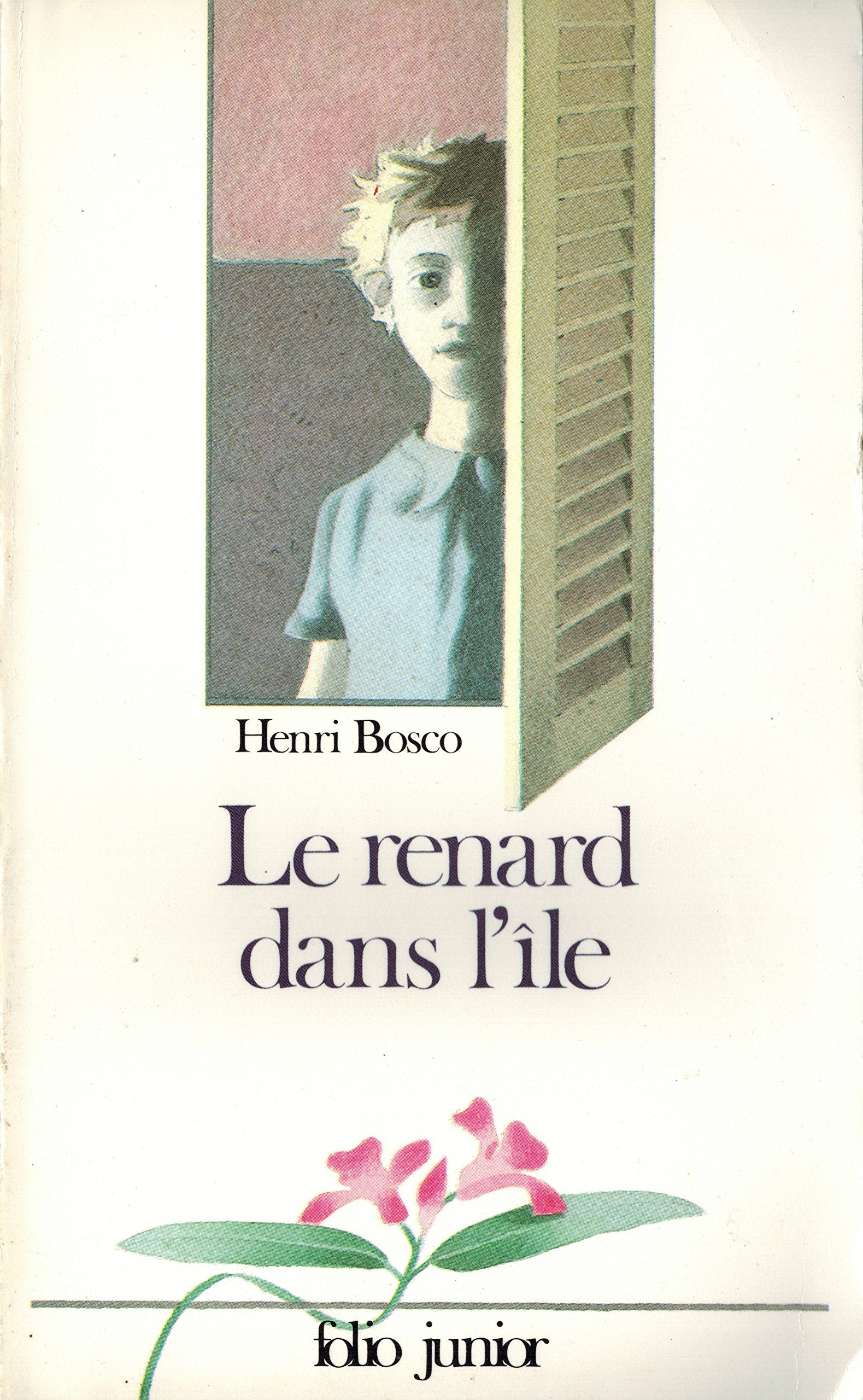 Le Renard dans l'île 9782070333813