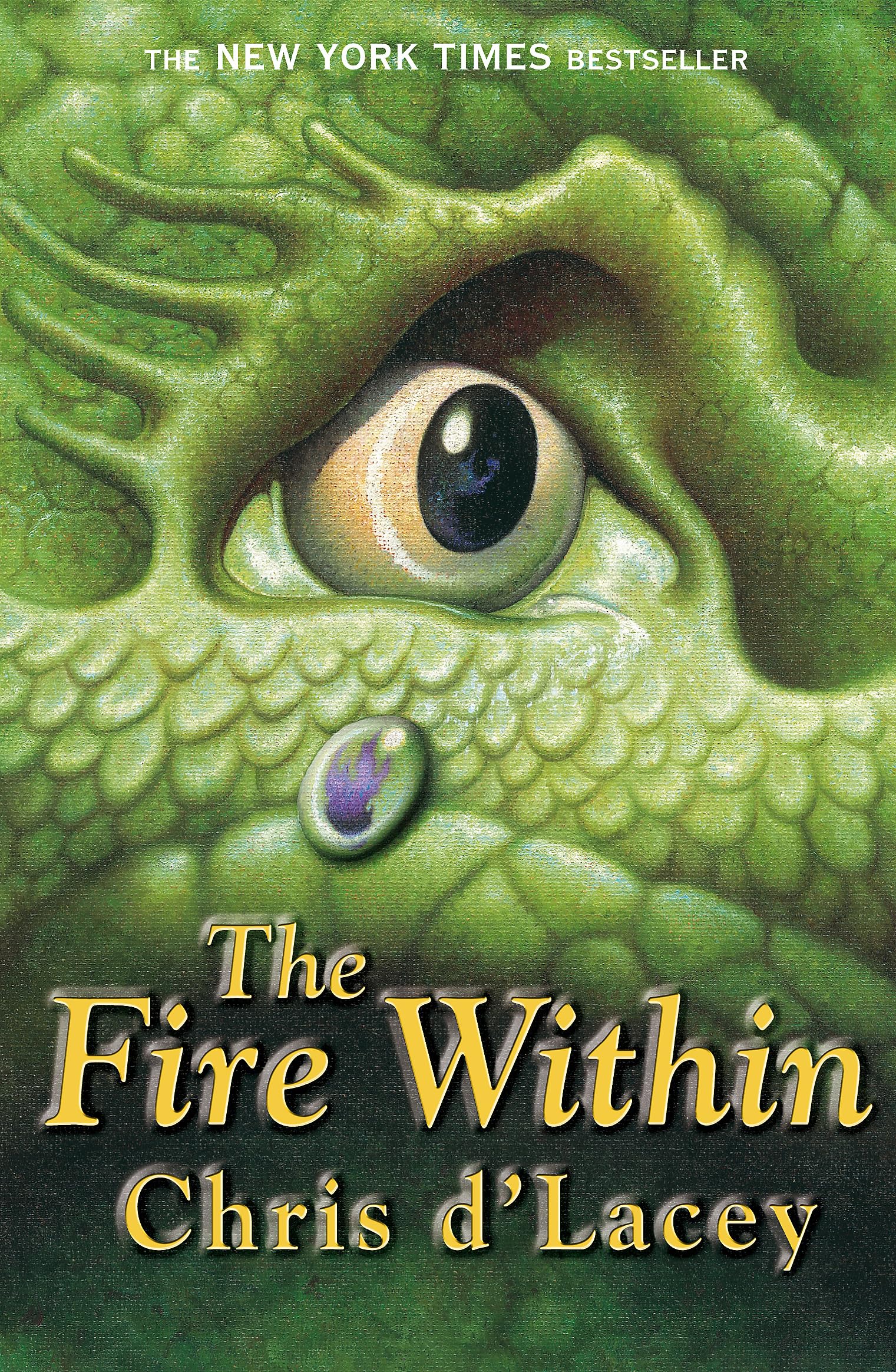 The Fire Within: Book 1 9781841215334