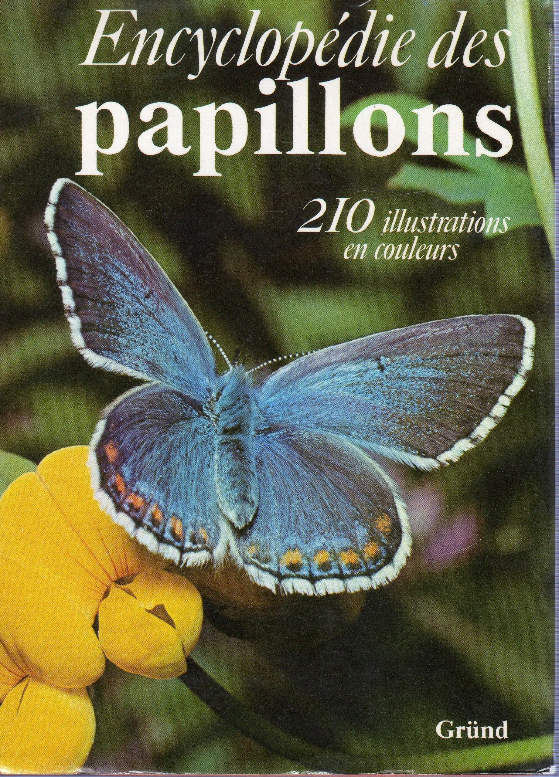 Encyclopédie des papillons, 210 illustrations en couleurs 9782700002133