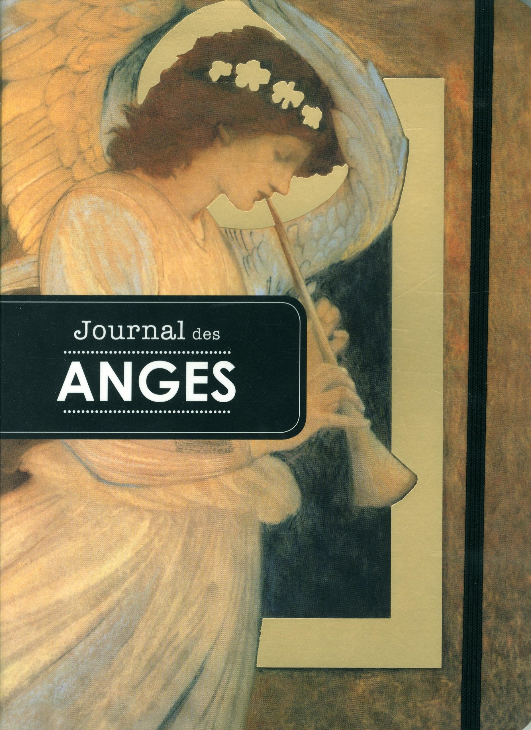 Journal des anges 9782895237945