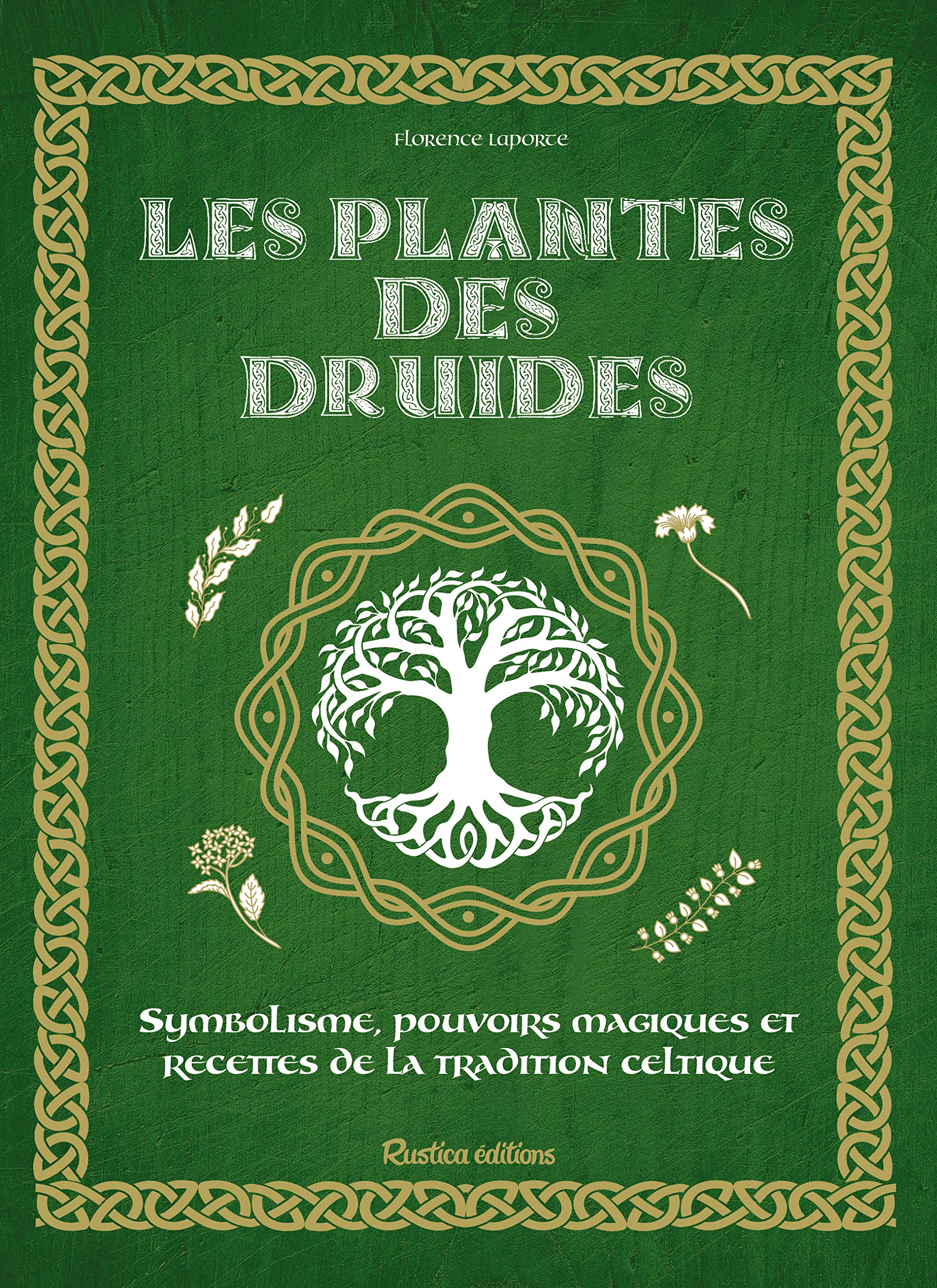 Les plantes des druides 9782815310208