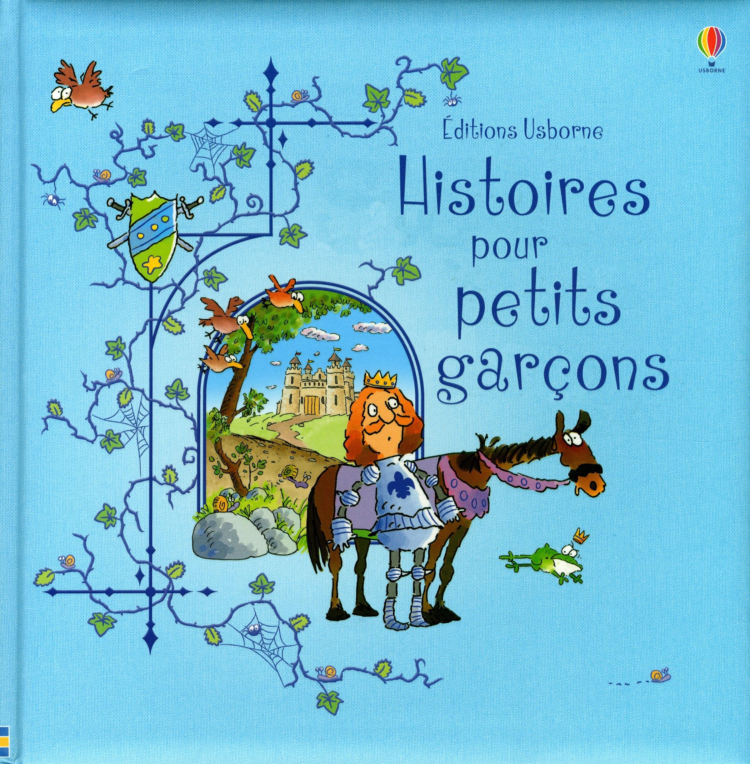 Histoires pour petits garçons 9781409561422