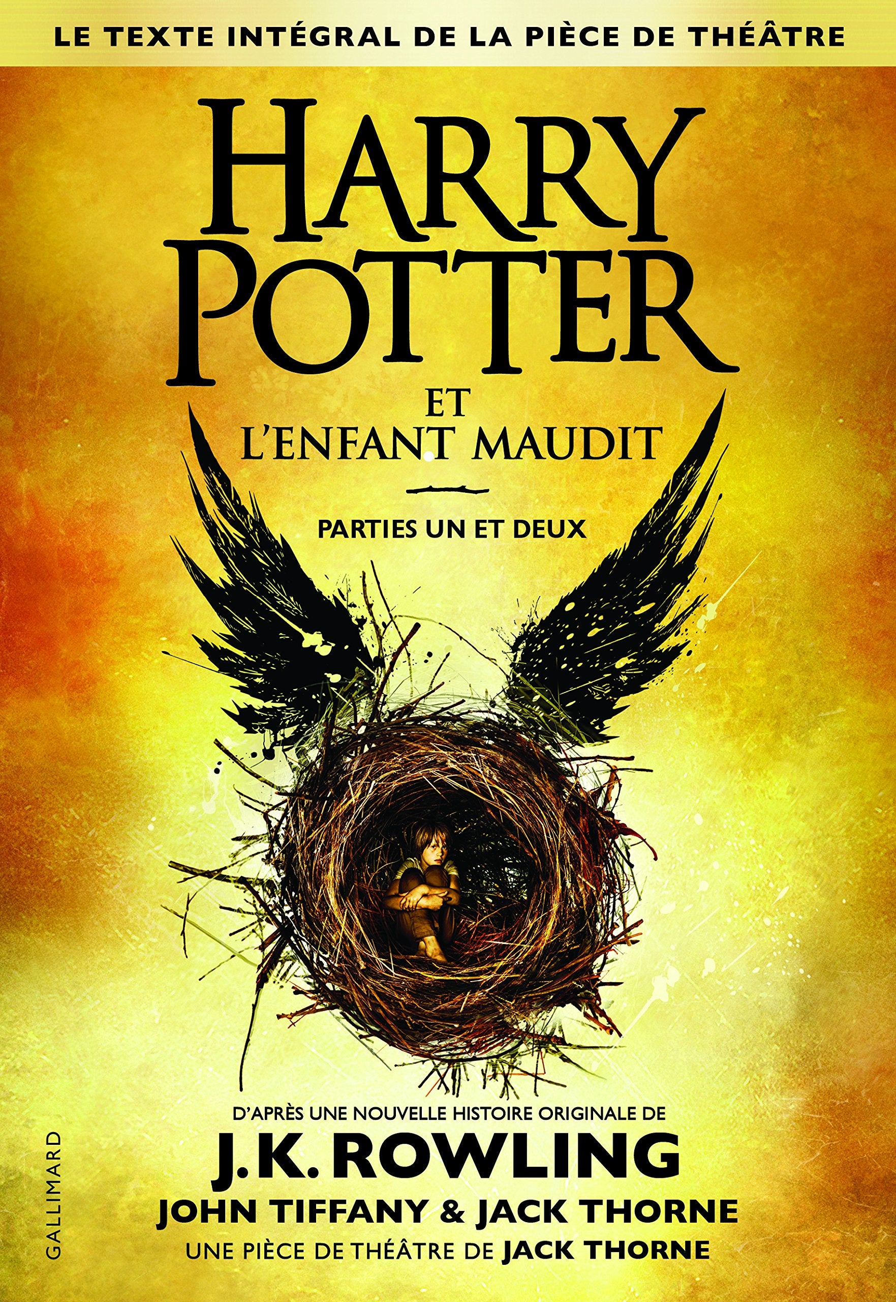 HARRY POTTER ET L'ENFANT MAUDIT - PARTIES I ET II 9782075074209