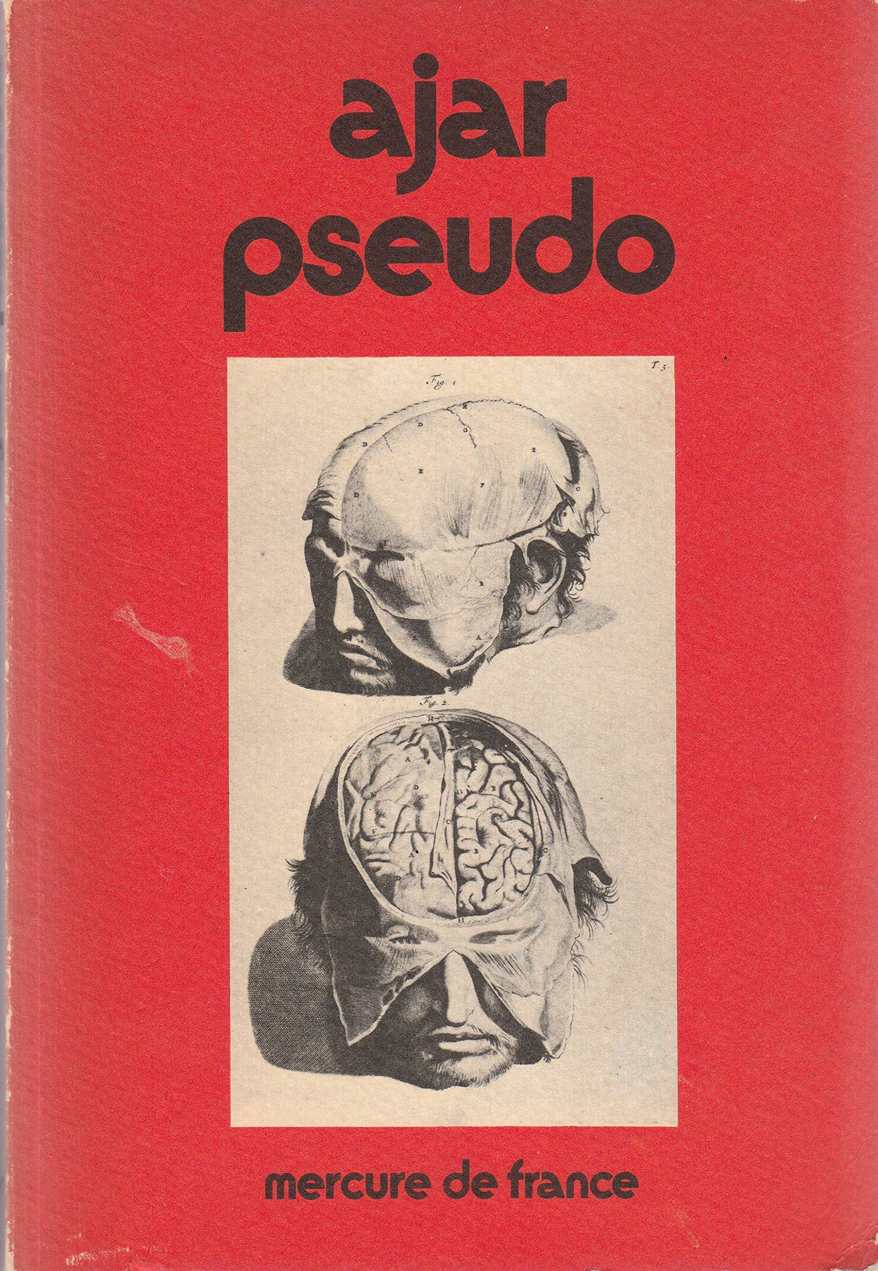 Pseudo 9782715200760