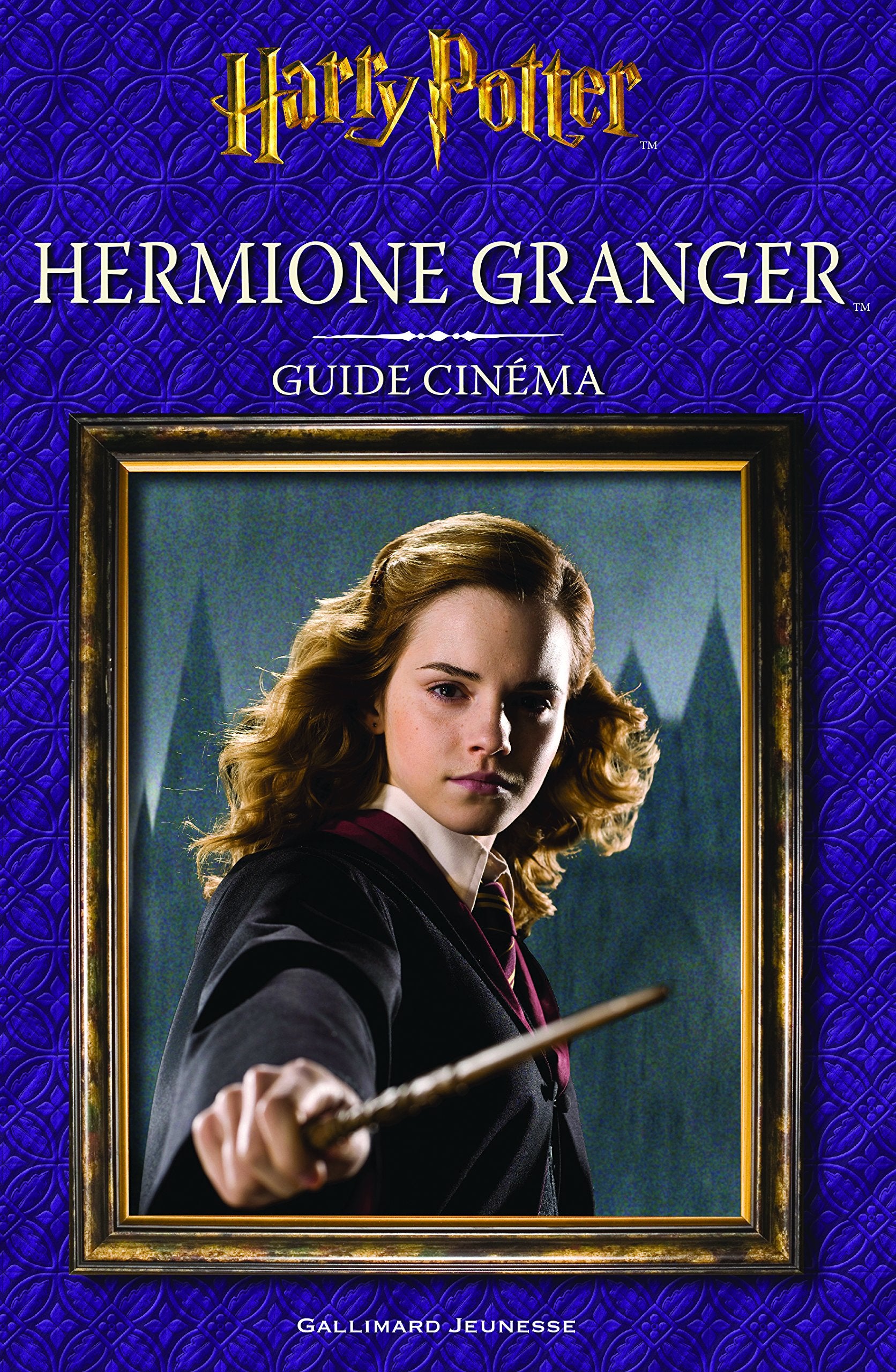 HARRY POTTER - GUIDE CINEMA 2 : HERMIONE GRANGER 9782075076258