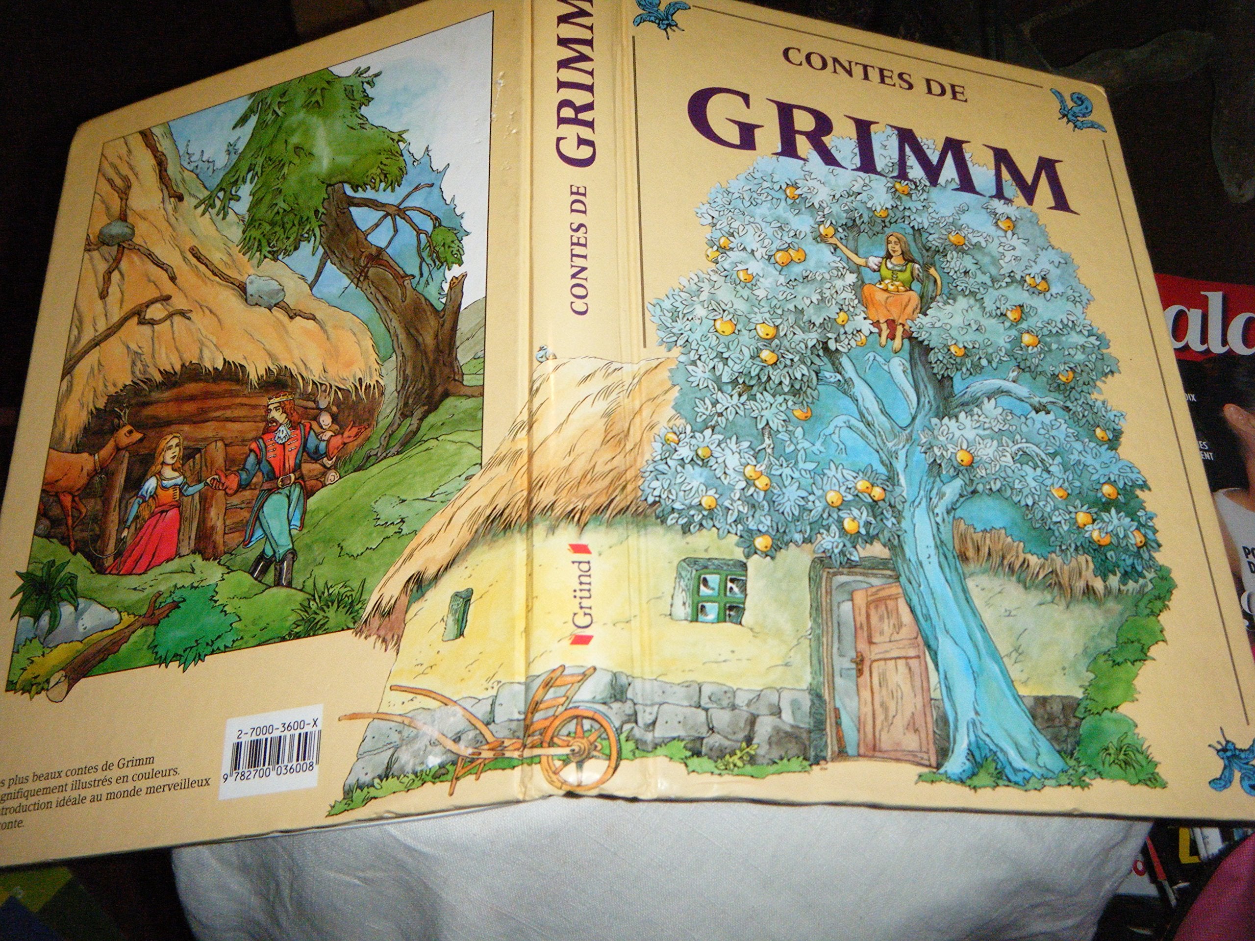 Contes de Grimm 9782700036008