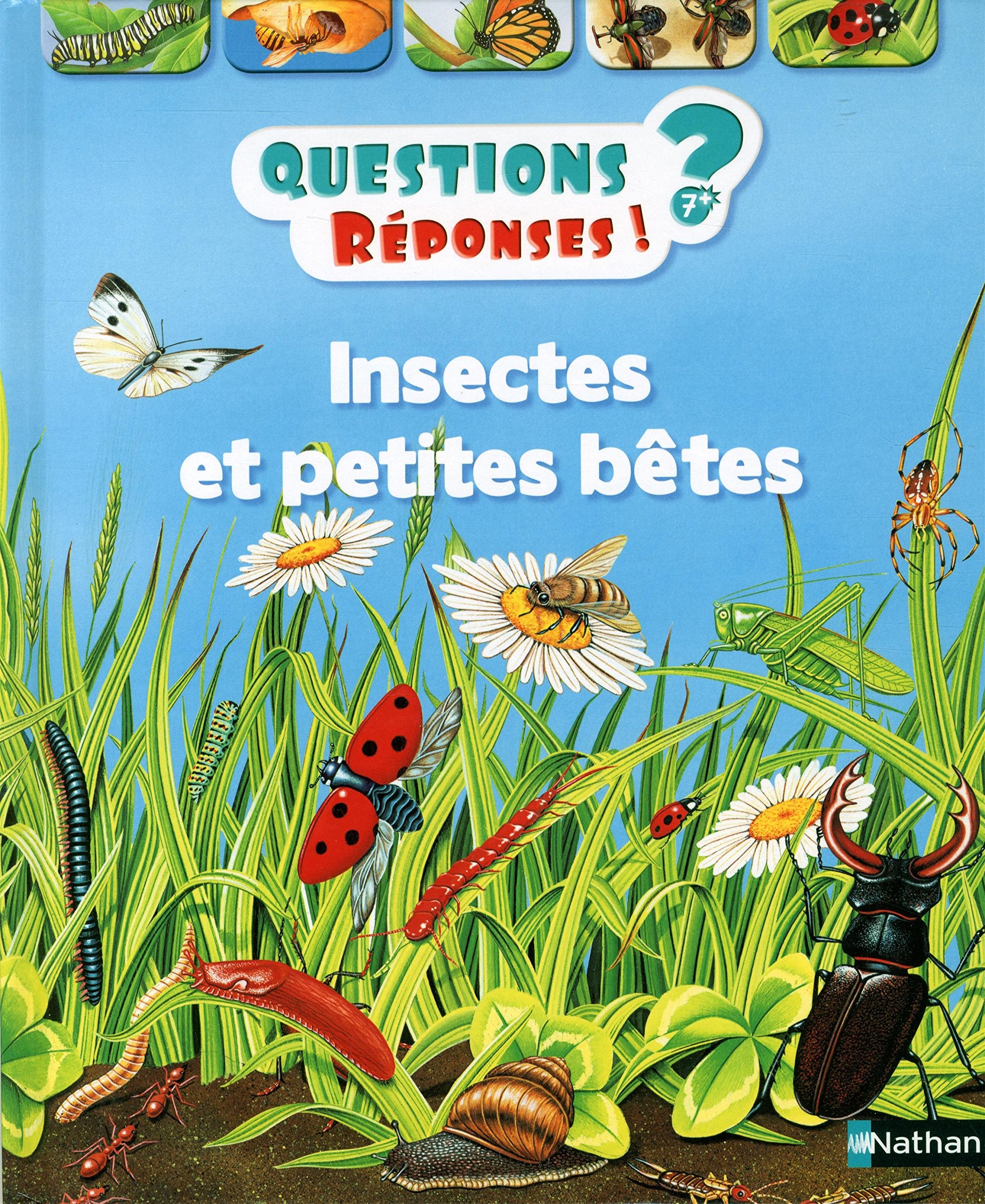 Insectes et petites bêtes - Questions/Réponses - doc dès 7 ans (11) 9782092552957