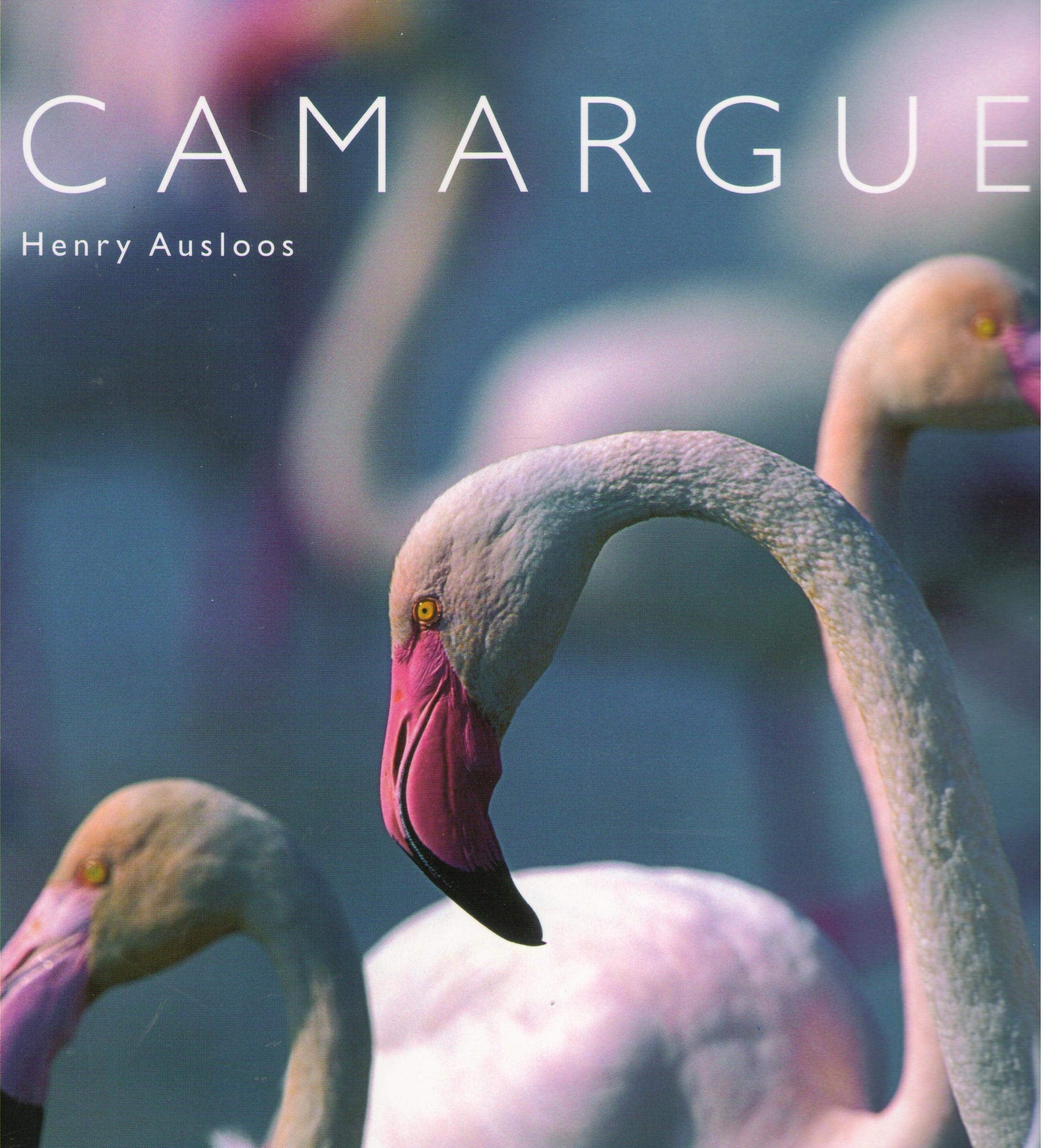 Camargue: Edition bilingue français-anglais 9782917743096