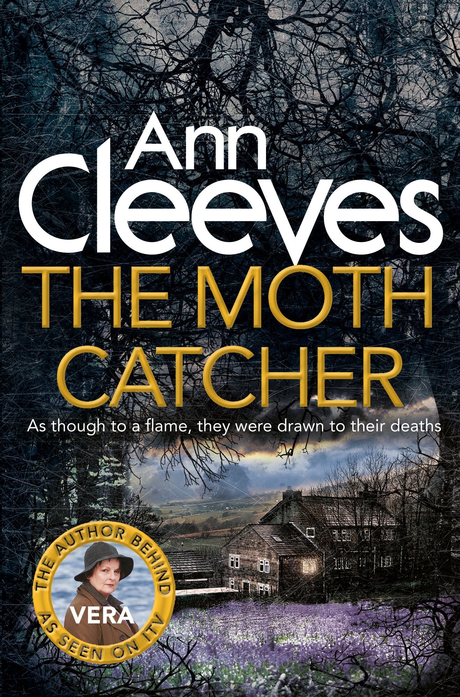 The Moth Catcher 9781447278306